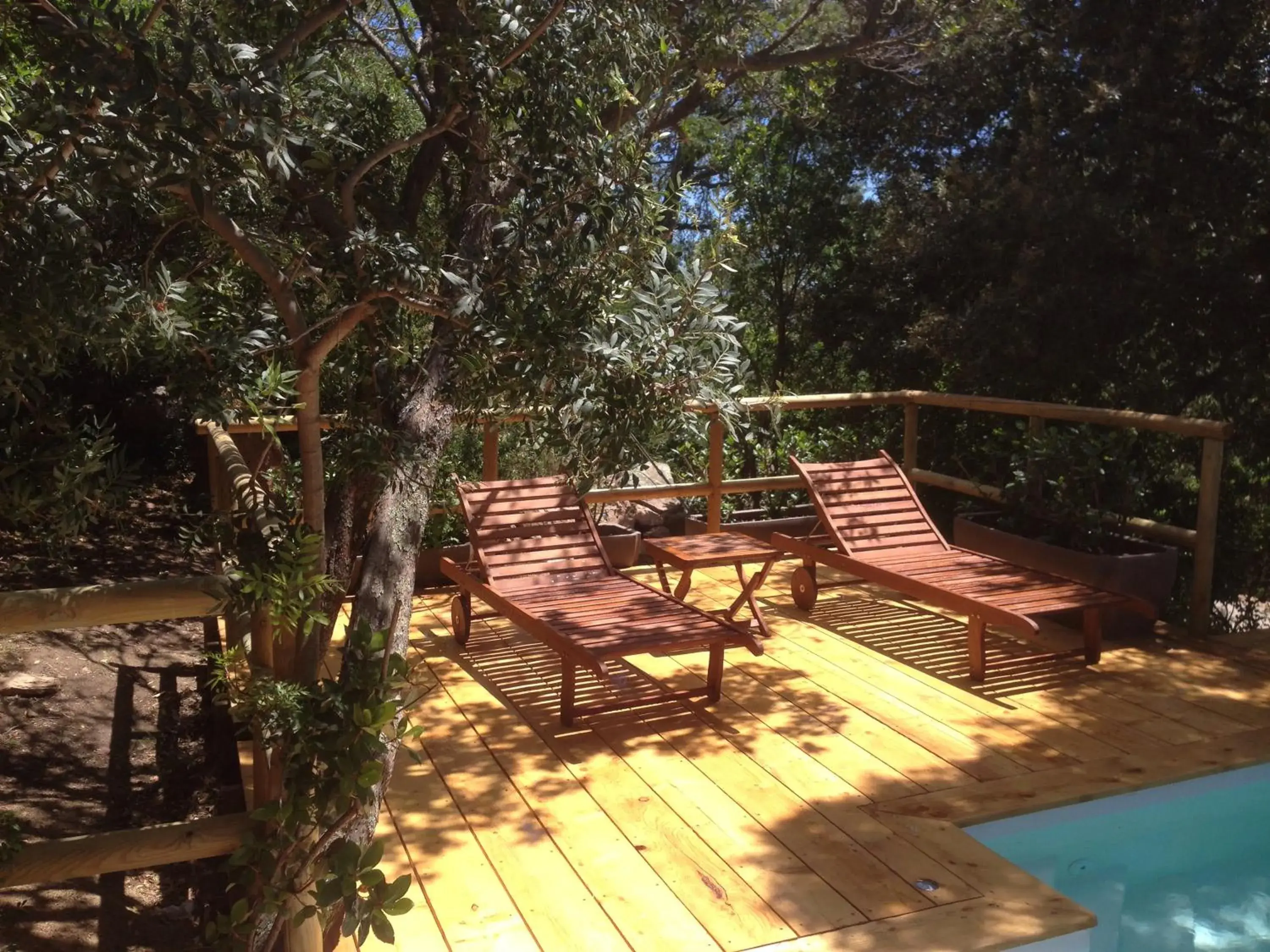 Pool view in Hotel Les Hauts de Porto-Vecchio