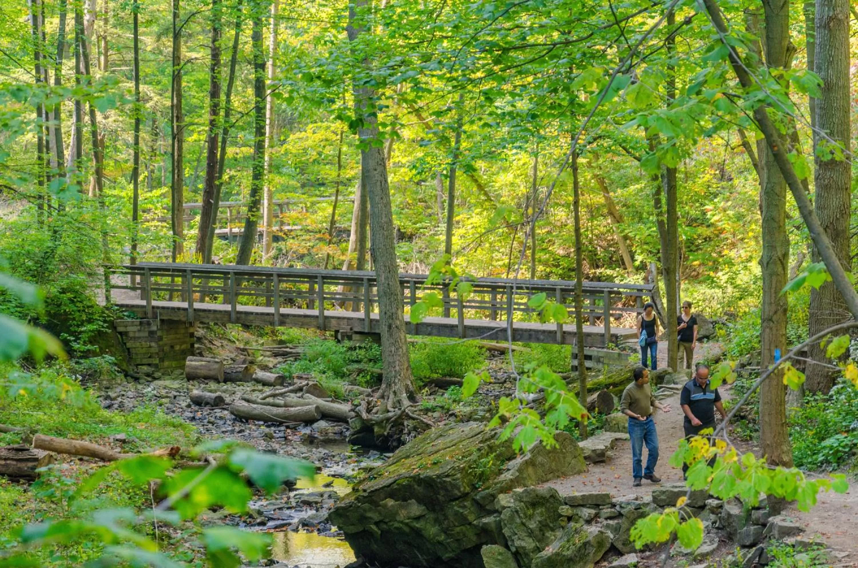 Area and facilities in Staybridge Suites Hamilton - Downtown by IHG