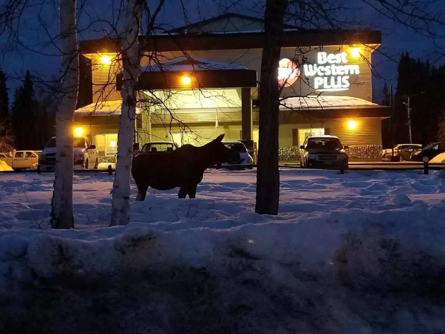 Property building in Best Western Plus Pioneer Park Inn