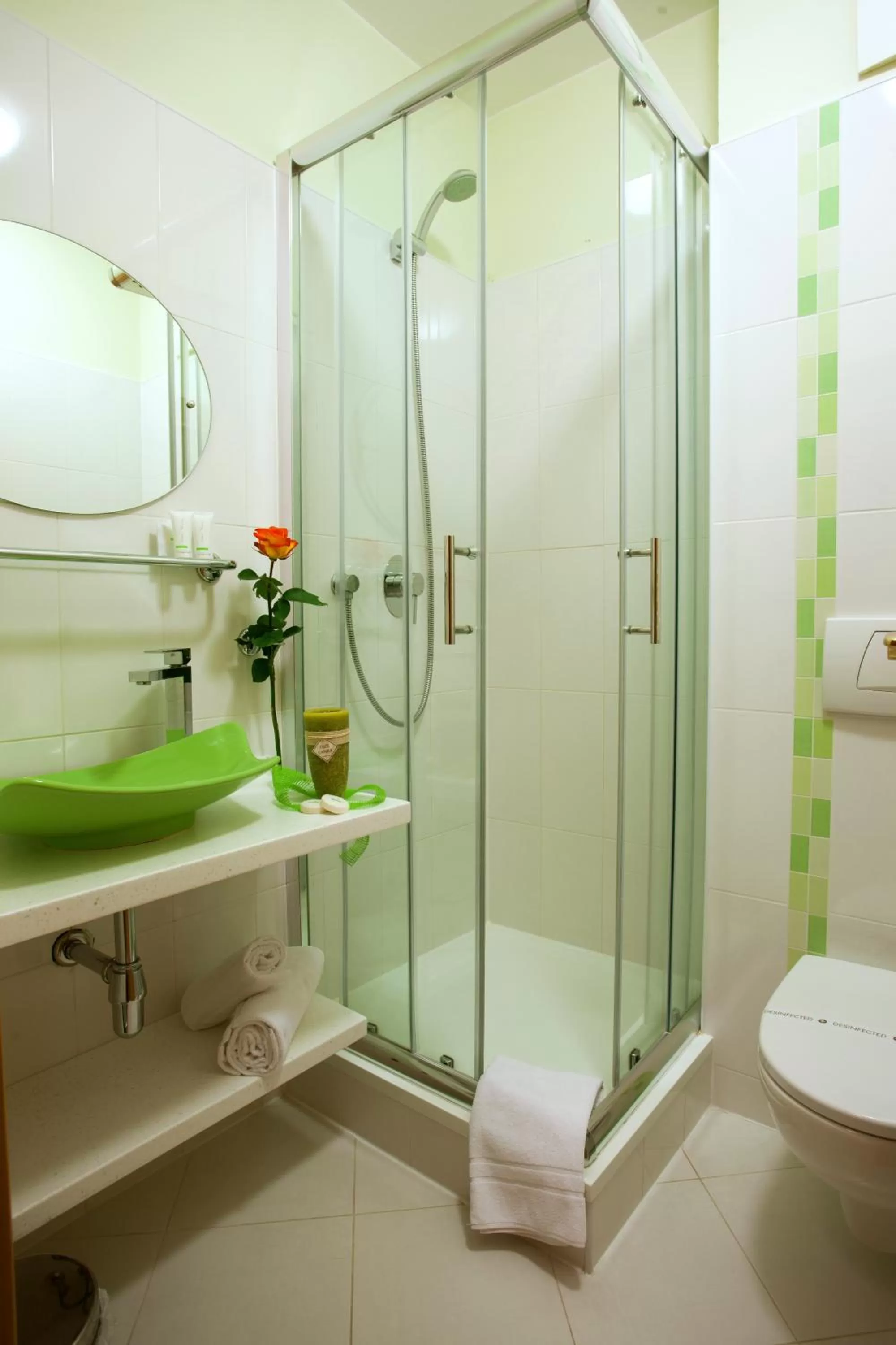 Shower in Hotel Ambiente Wellness & Spa