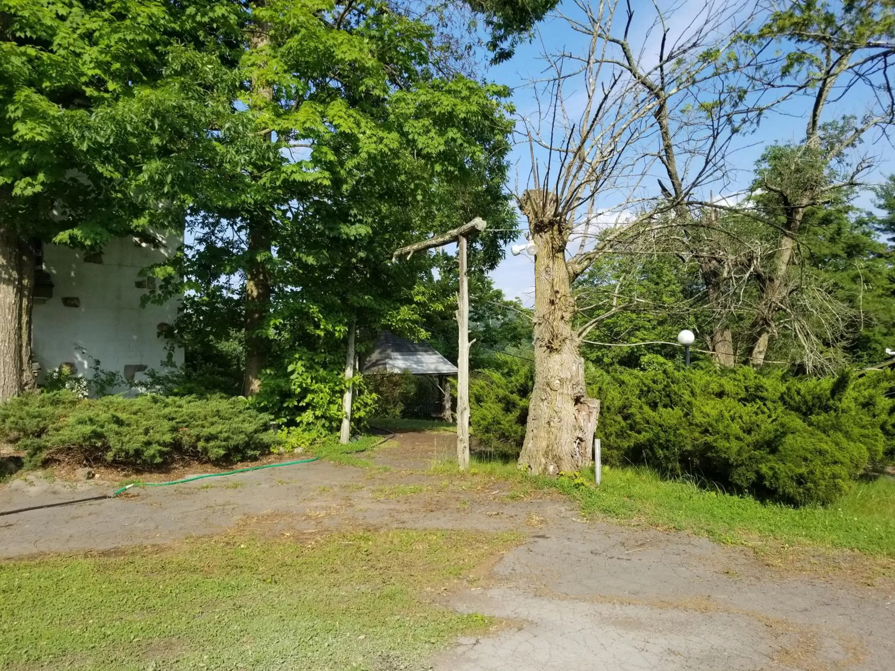 Natural landscape, Garden in Glenwood Inn & Conference Center