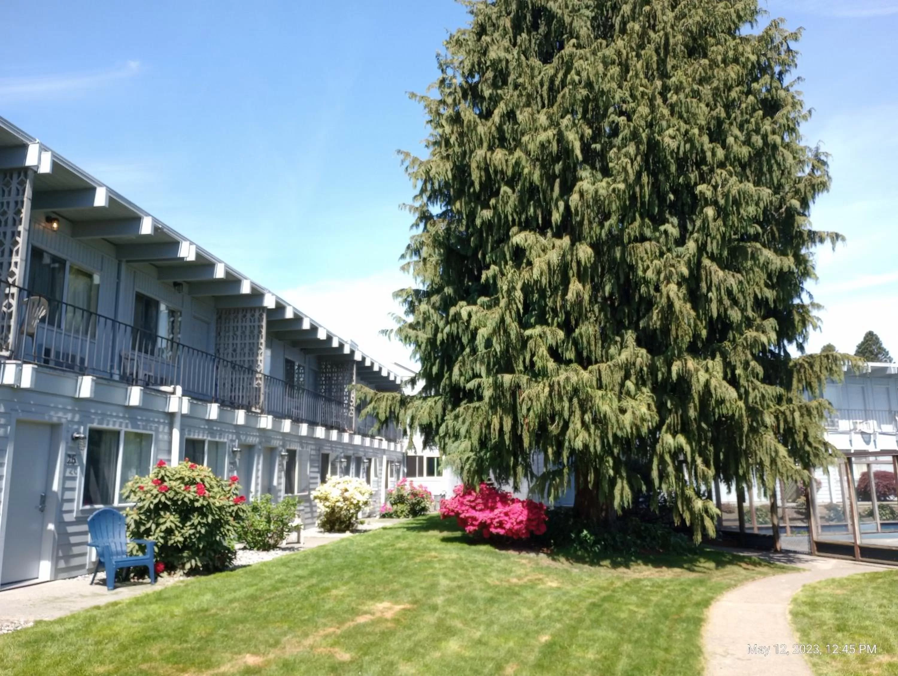 Natural landscape in Cocusa Motel