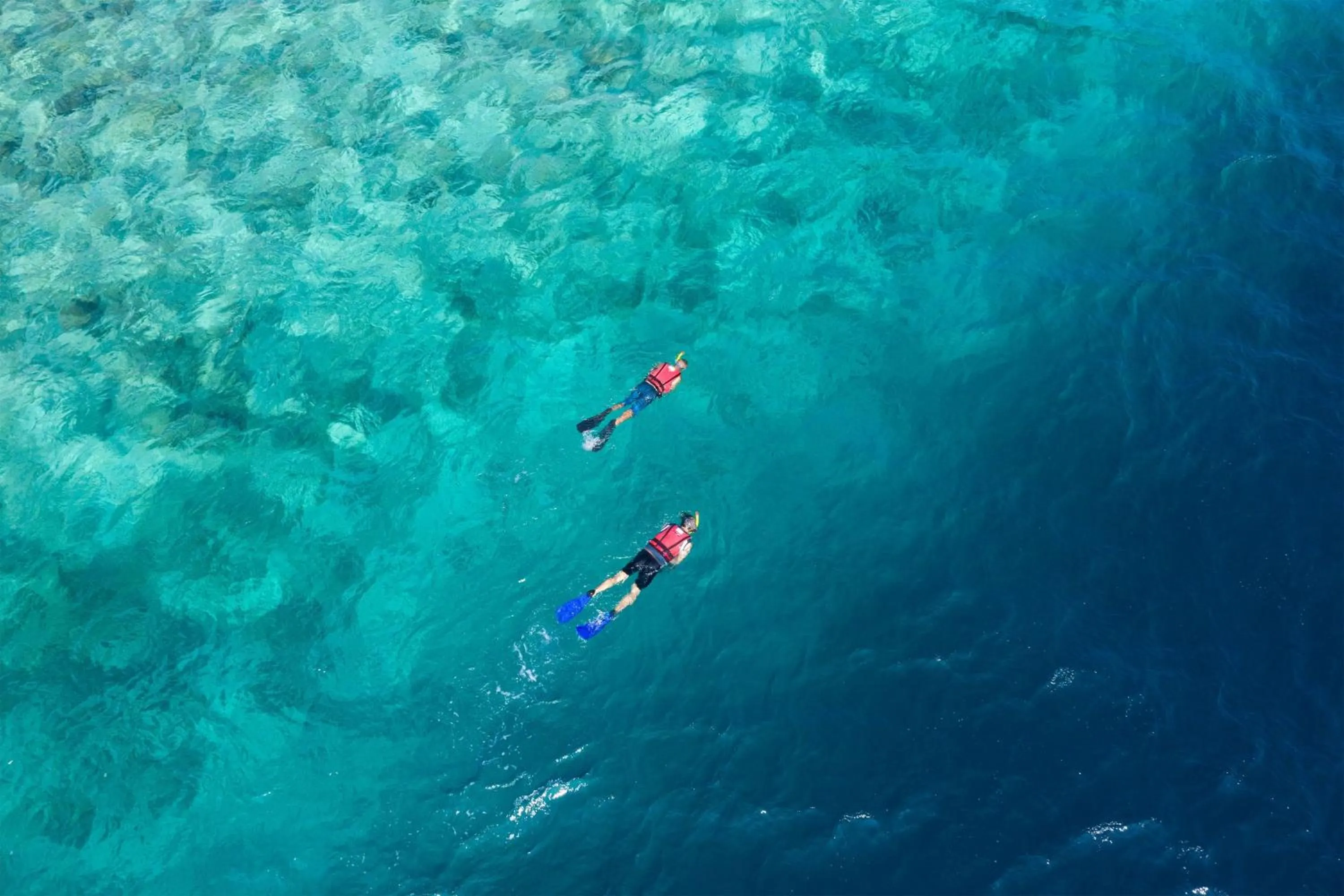 Other in The Ocean Club, a Luxury Collection Resort, Costa Norte