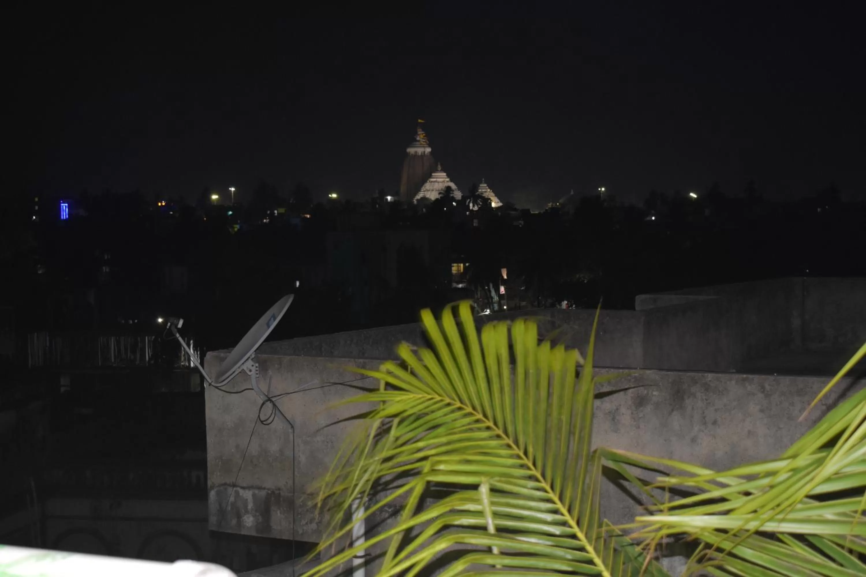 City view in HOTEL PURI GREENS