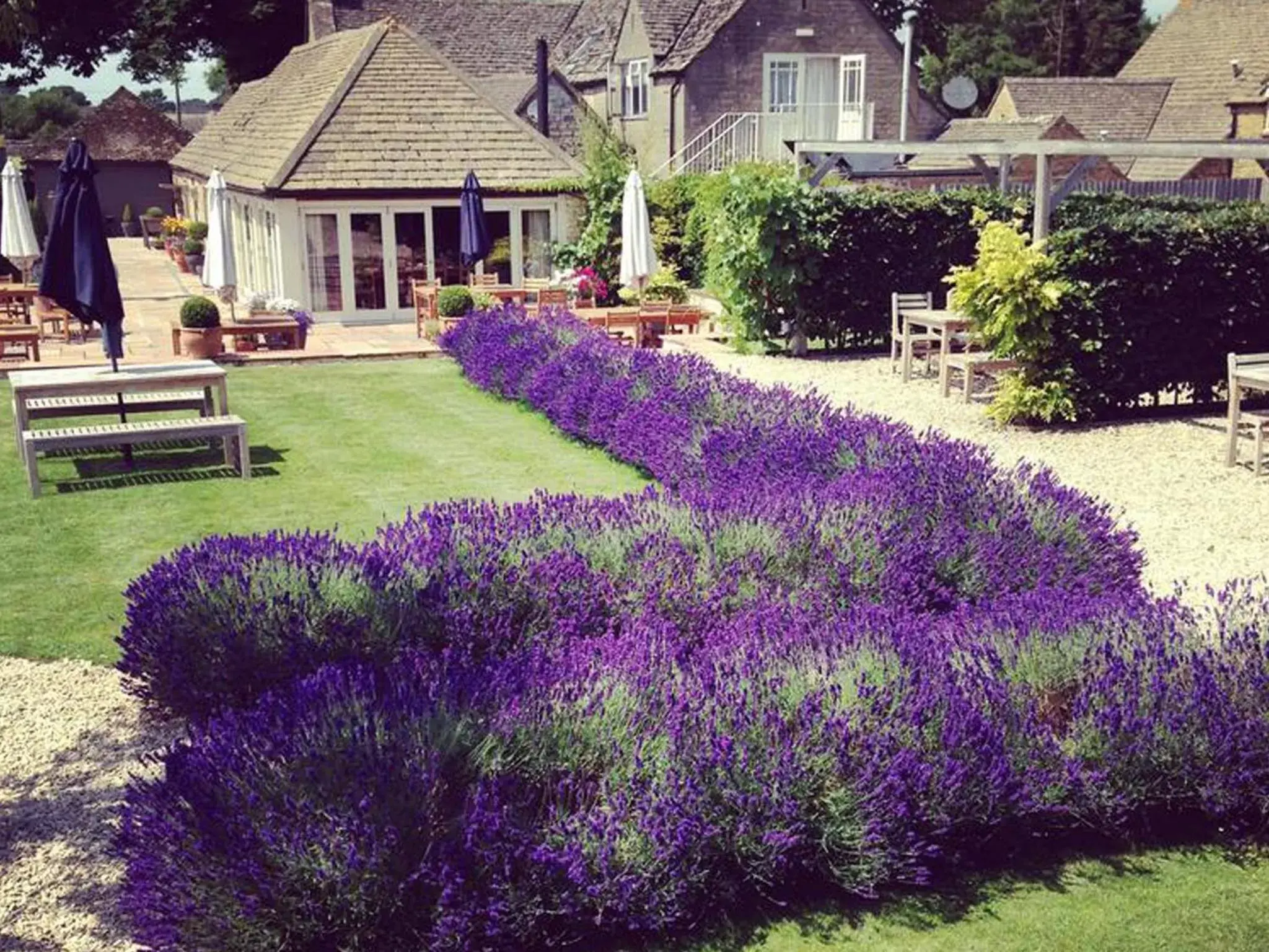 Garden in The Ragged Cot