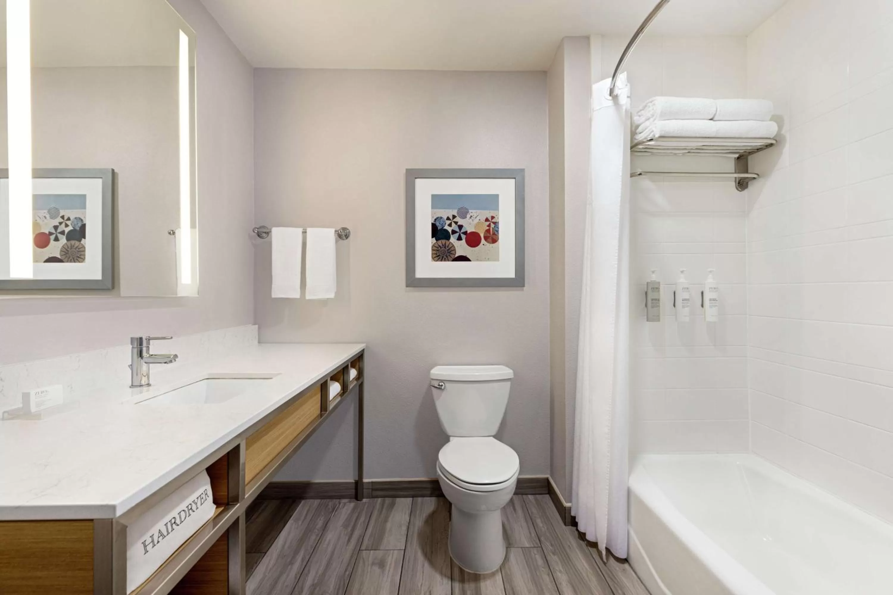 Bathroom in Hilton Garden Inn South Padre Island Beachfront