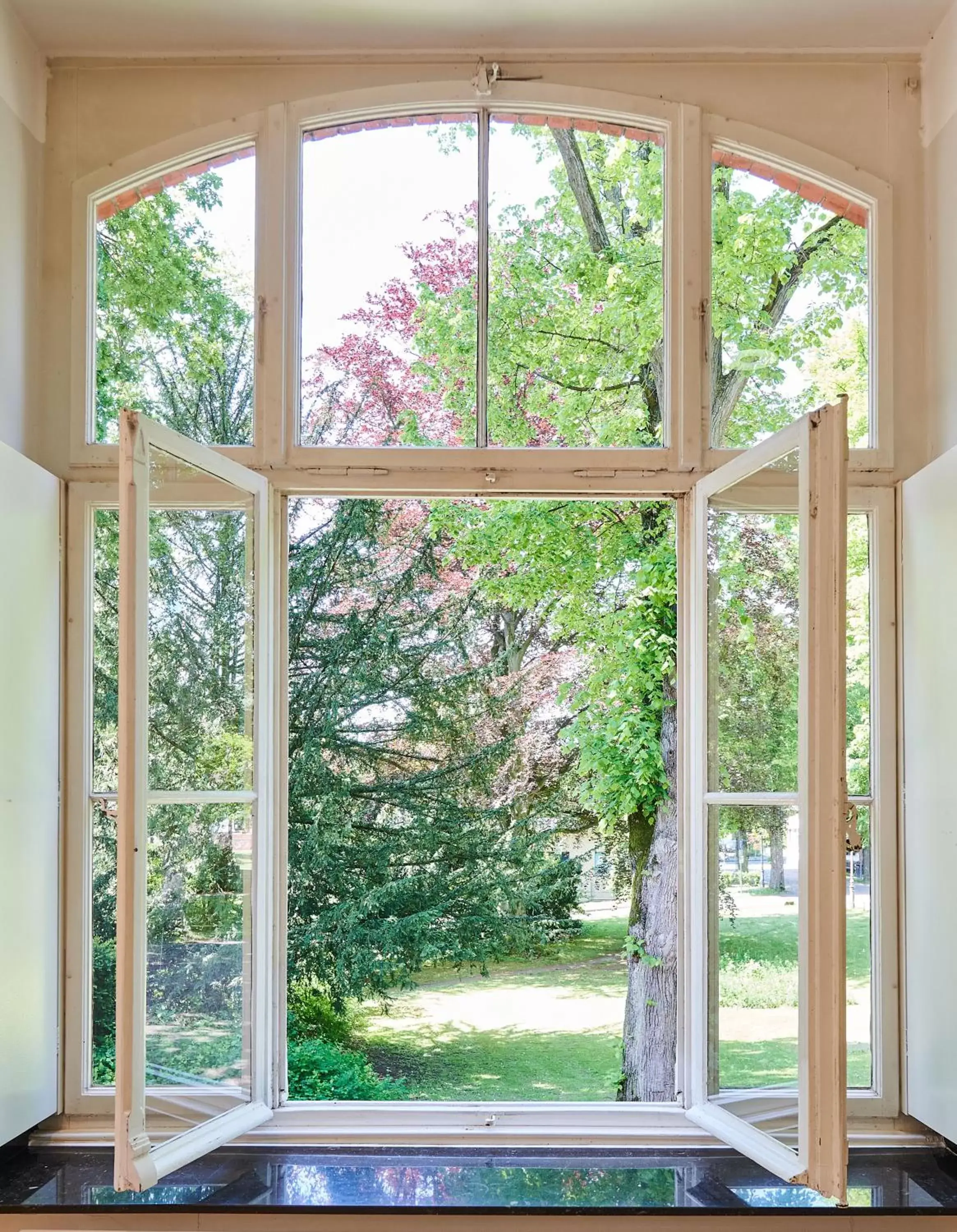 View (from property/room) in Hotel Mutterhaus Düsseldorf View (from property/room) in Hotel Mutterhaus Düsseldorf