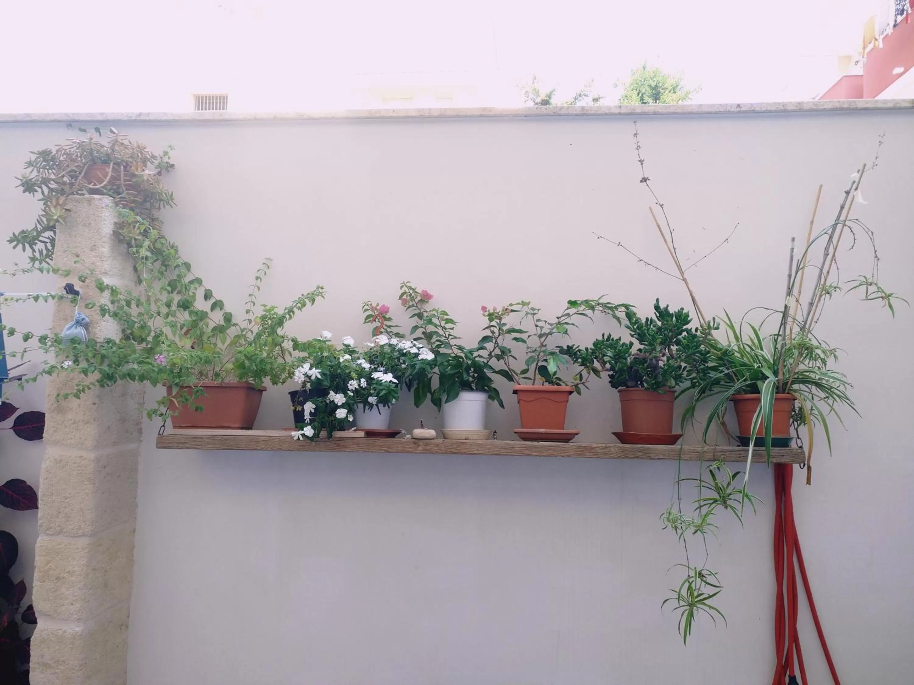 Patio in Casa della Nonna Polignano a mare