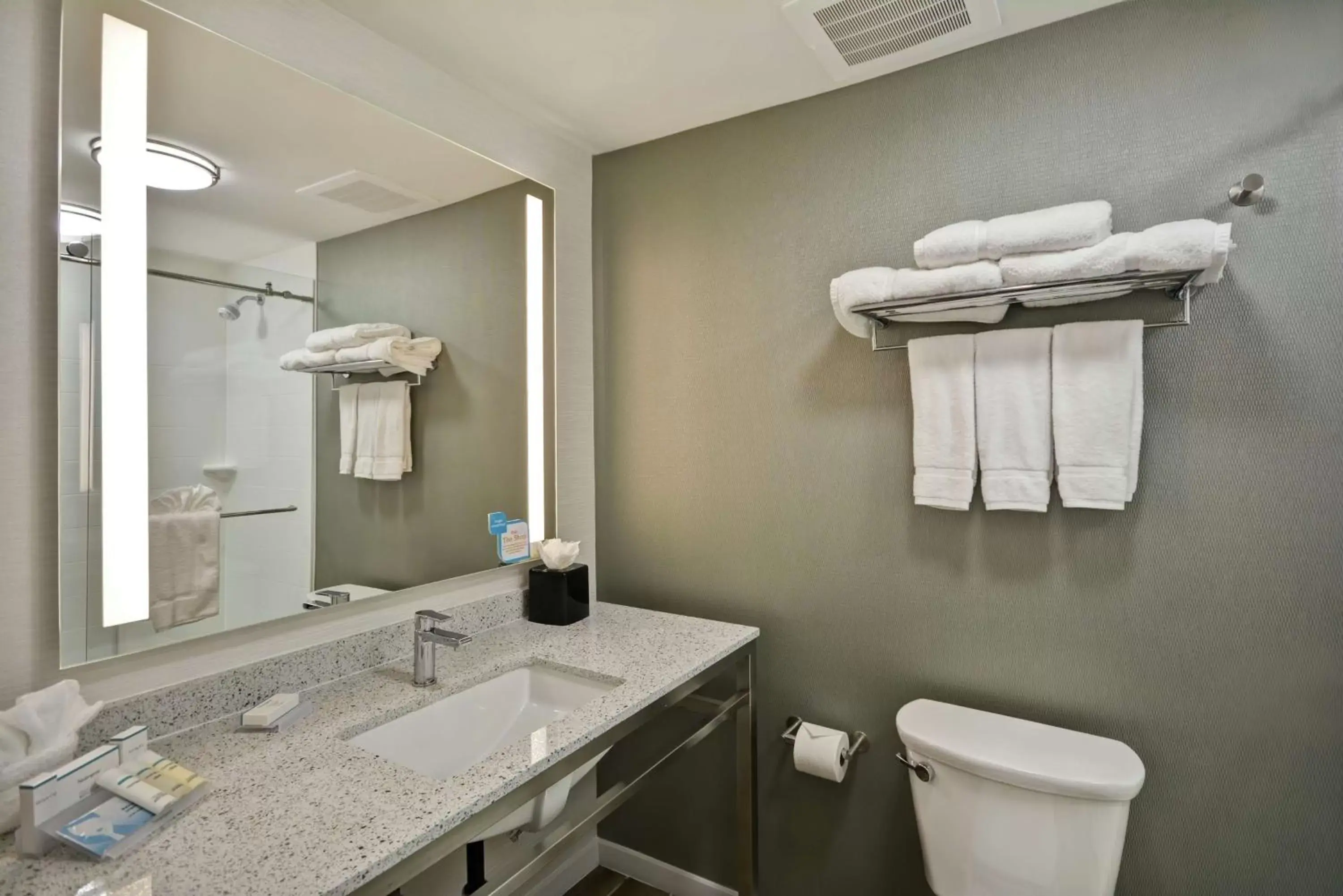 Toilet, Bathroom in Hilton Garden Inn Gastonia
