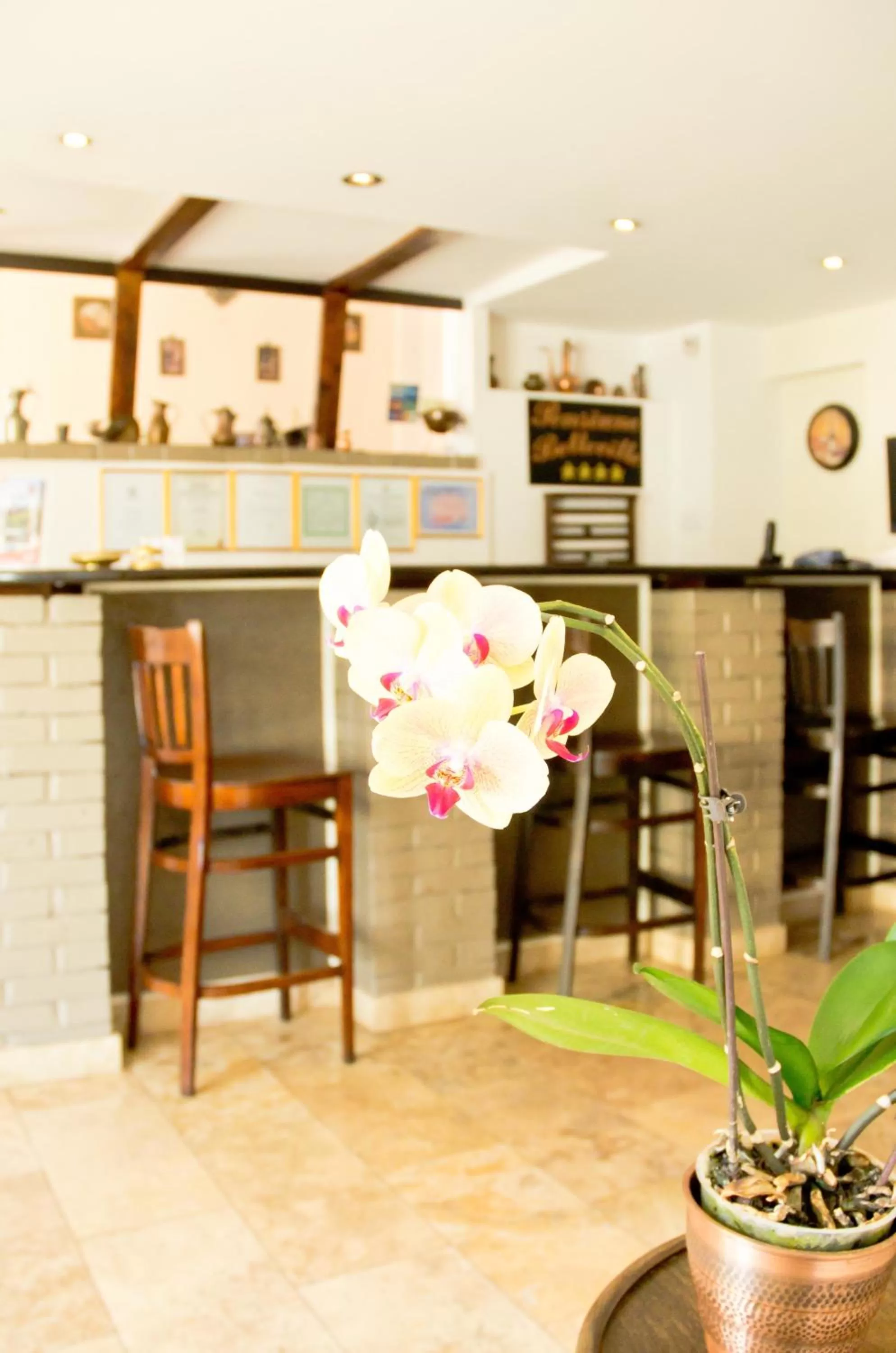 Decorative detail in Hotel Belleville