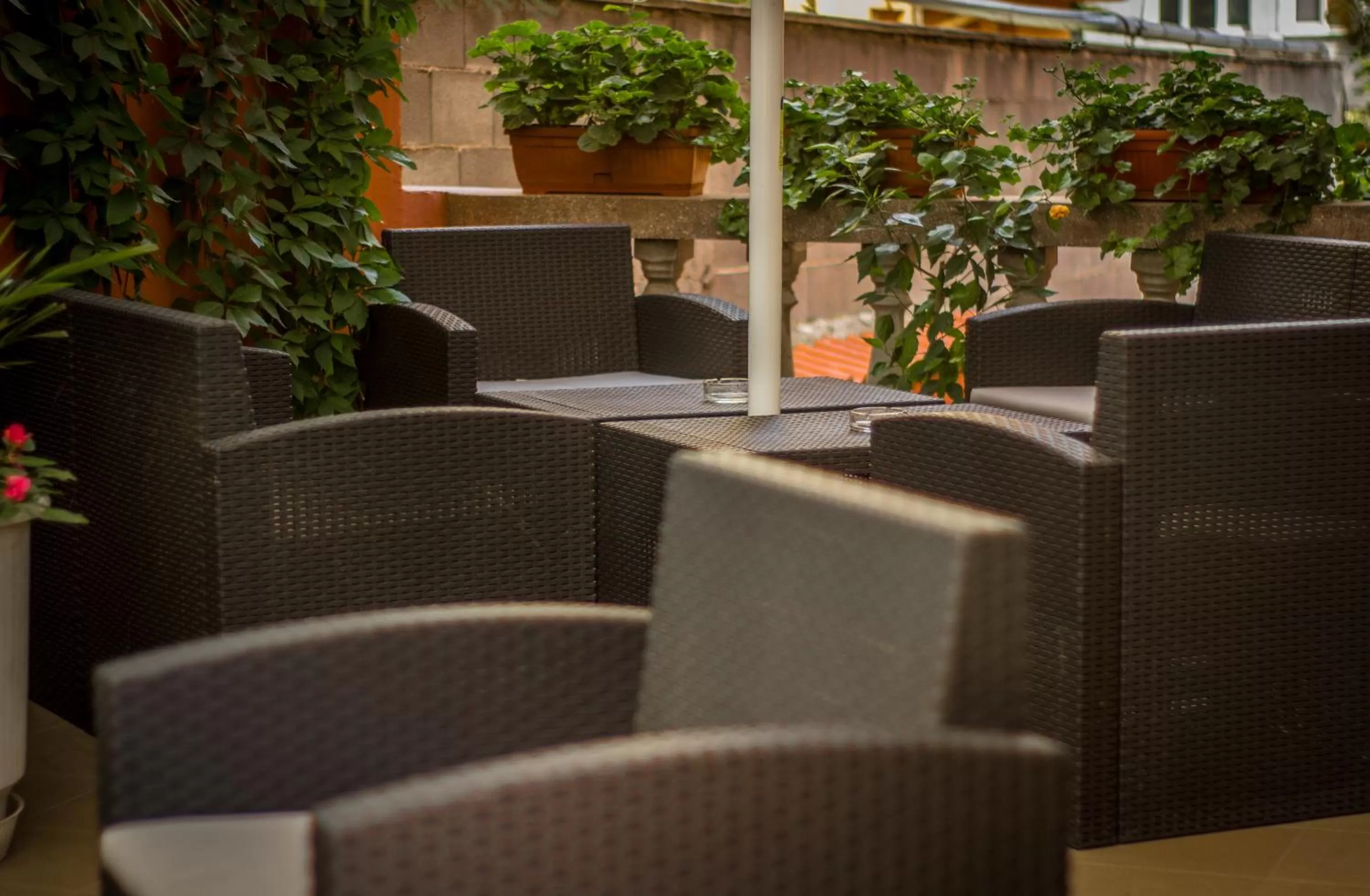 Patio in Family Hotel Saint Iliya