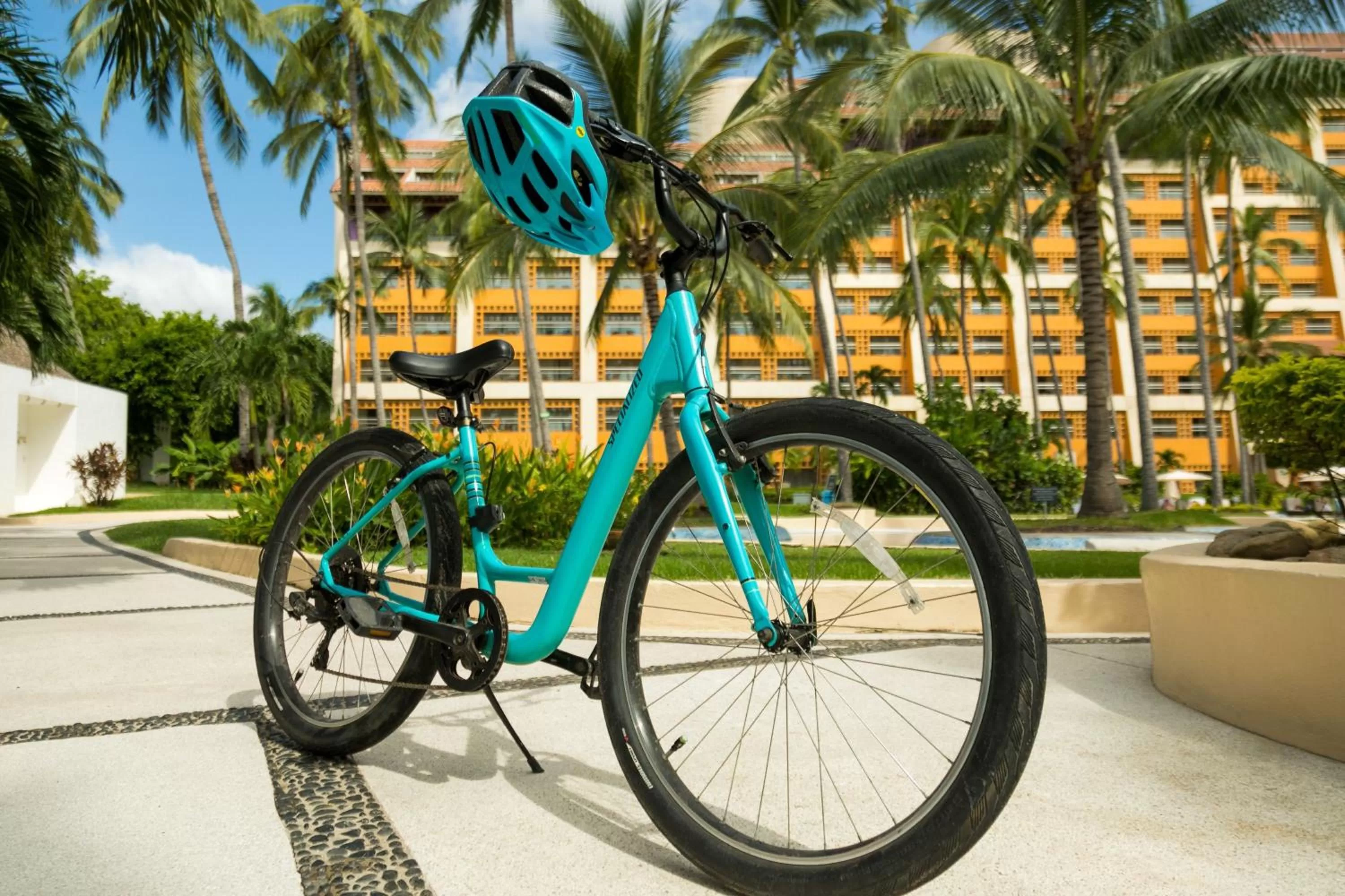 Other in The Westin Resort & Spa, Puerto Vallarta