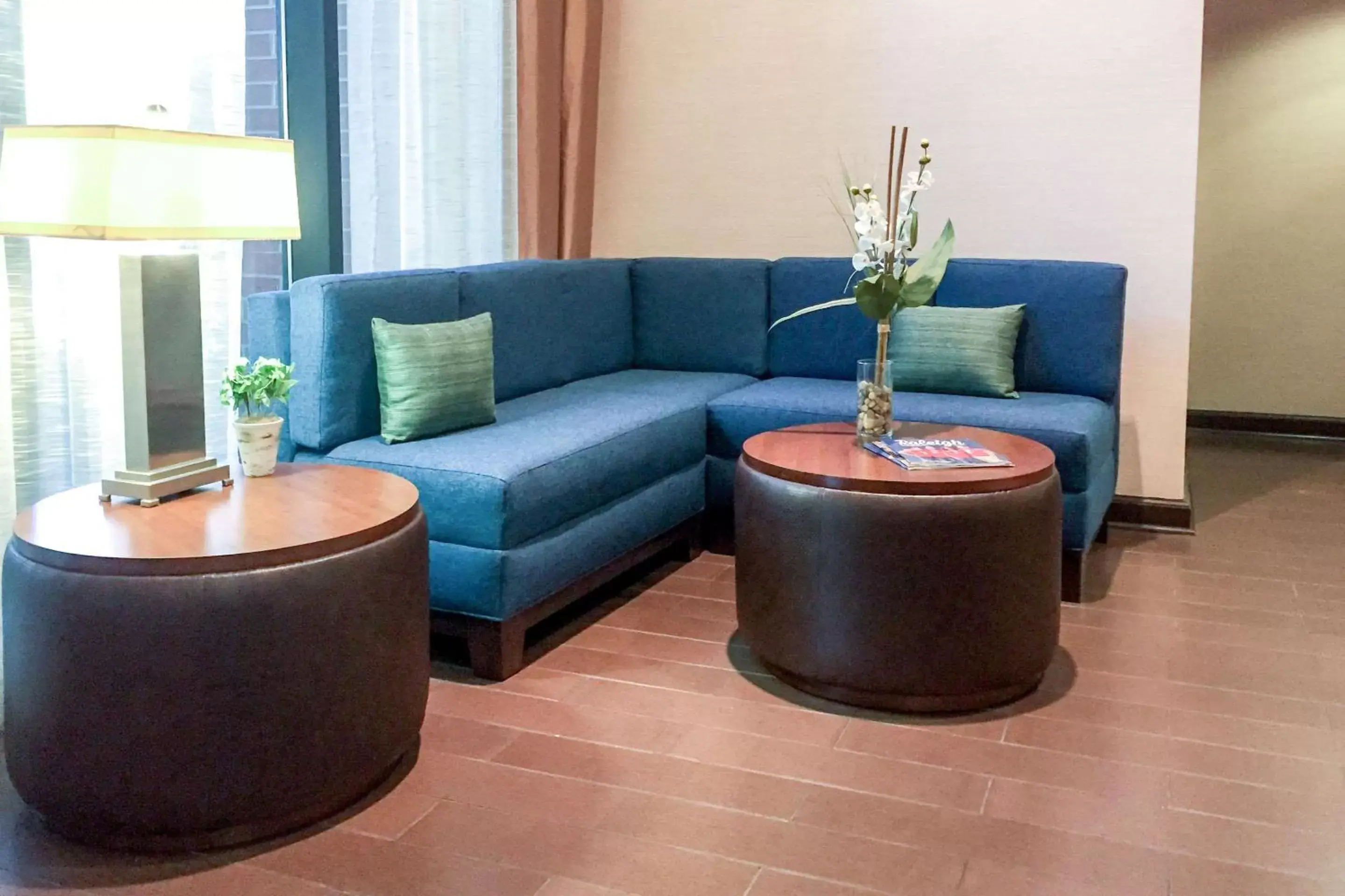 Lobby or reception, Seating Area in Comfort Suites Regency Park