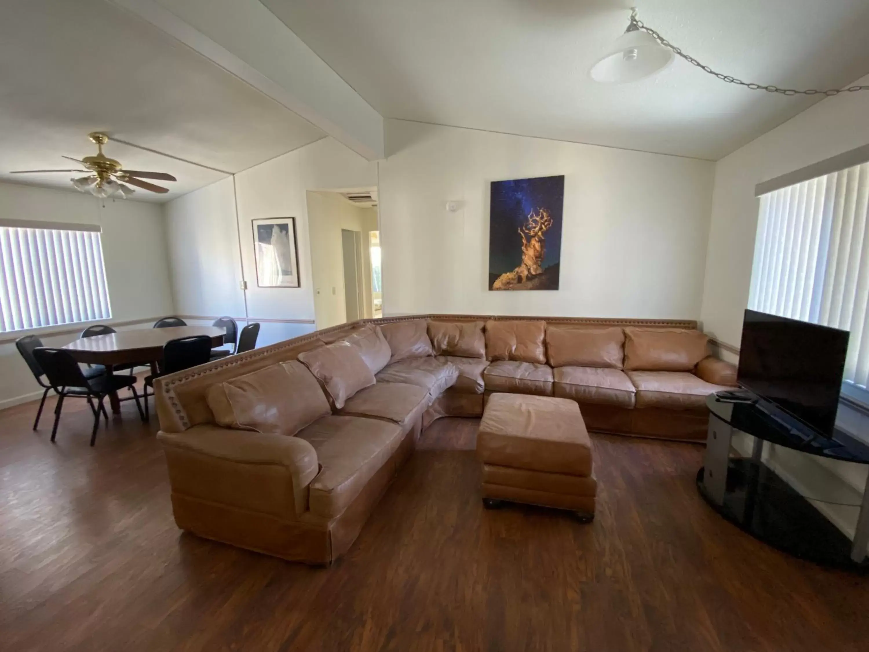 Seating Area in Bristlecone Motel