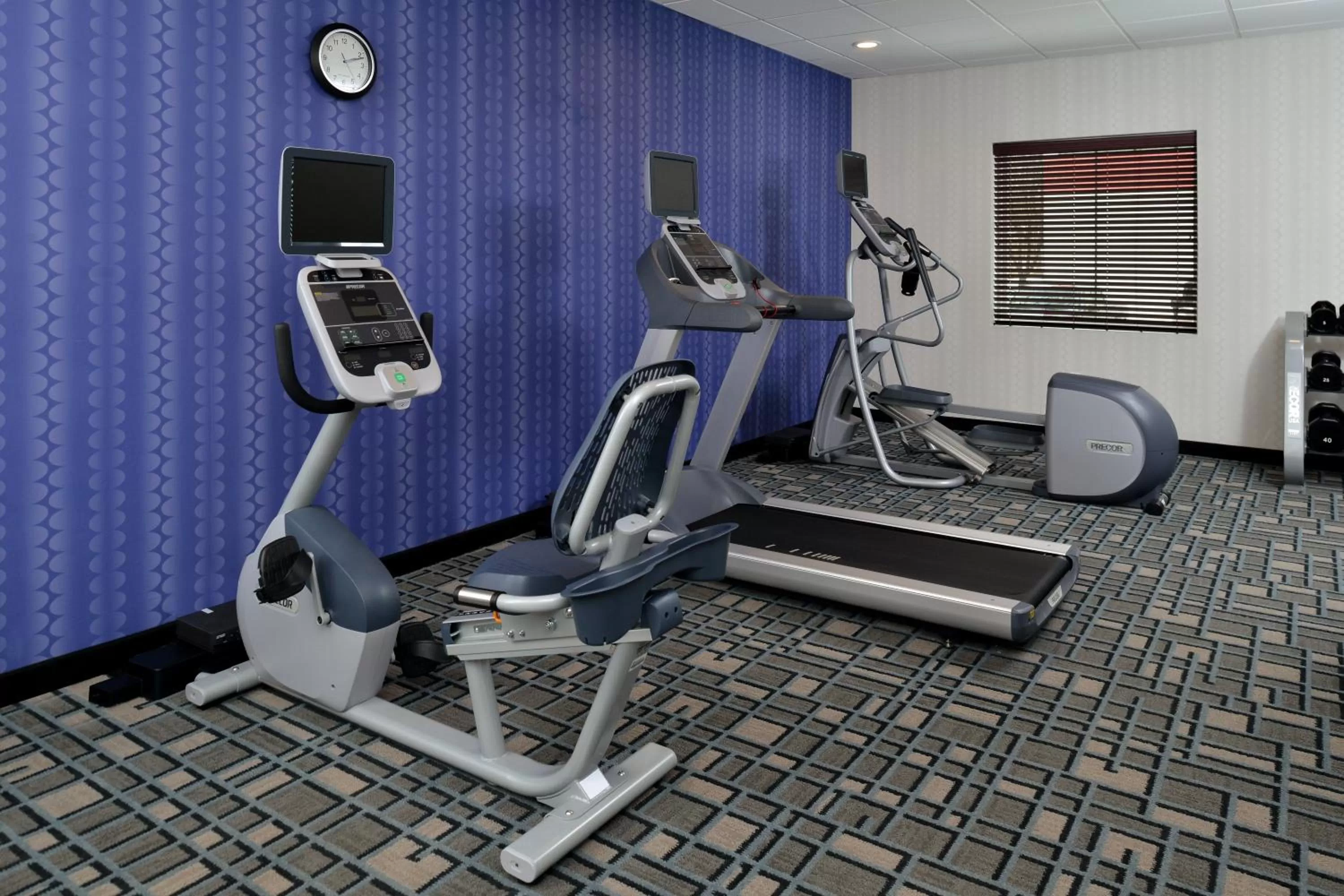 Fitness centre/facilities in Holiday Inn Express & Suites Peekskill-Lower Hudson Valley by IHG