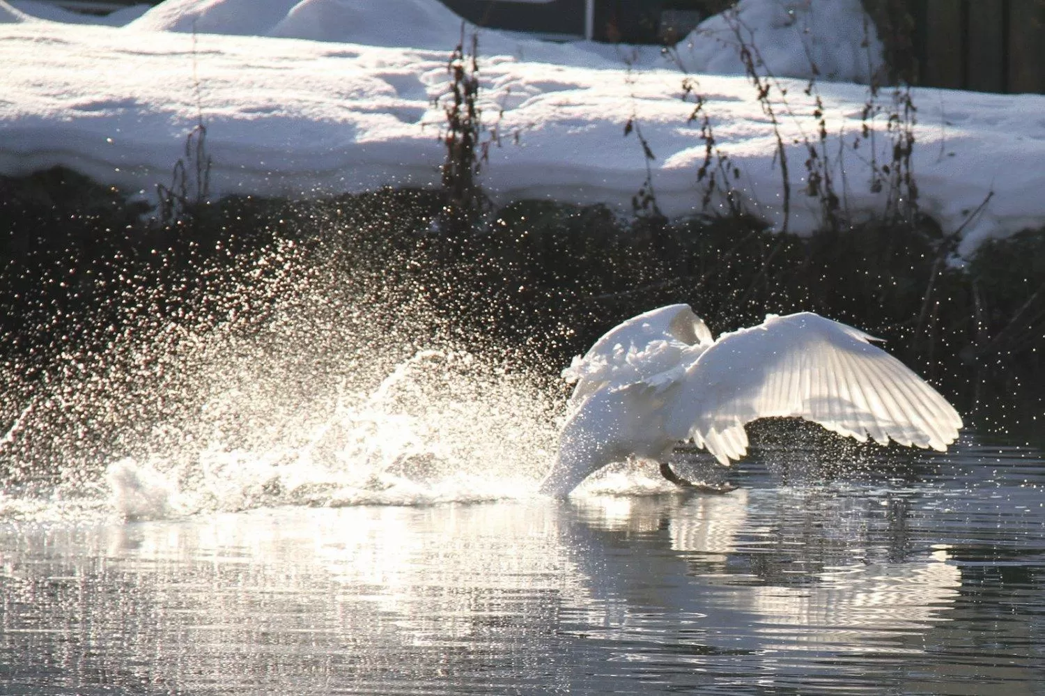 Area and facilities in Malteser Komturei Hotel / Restaurant