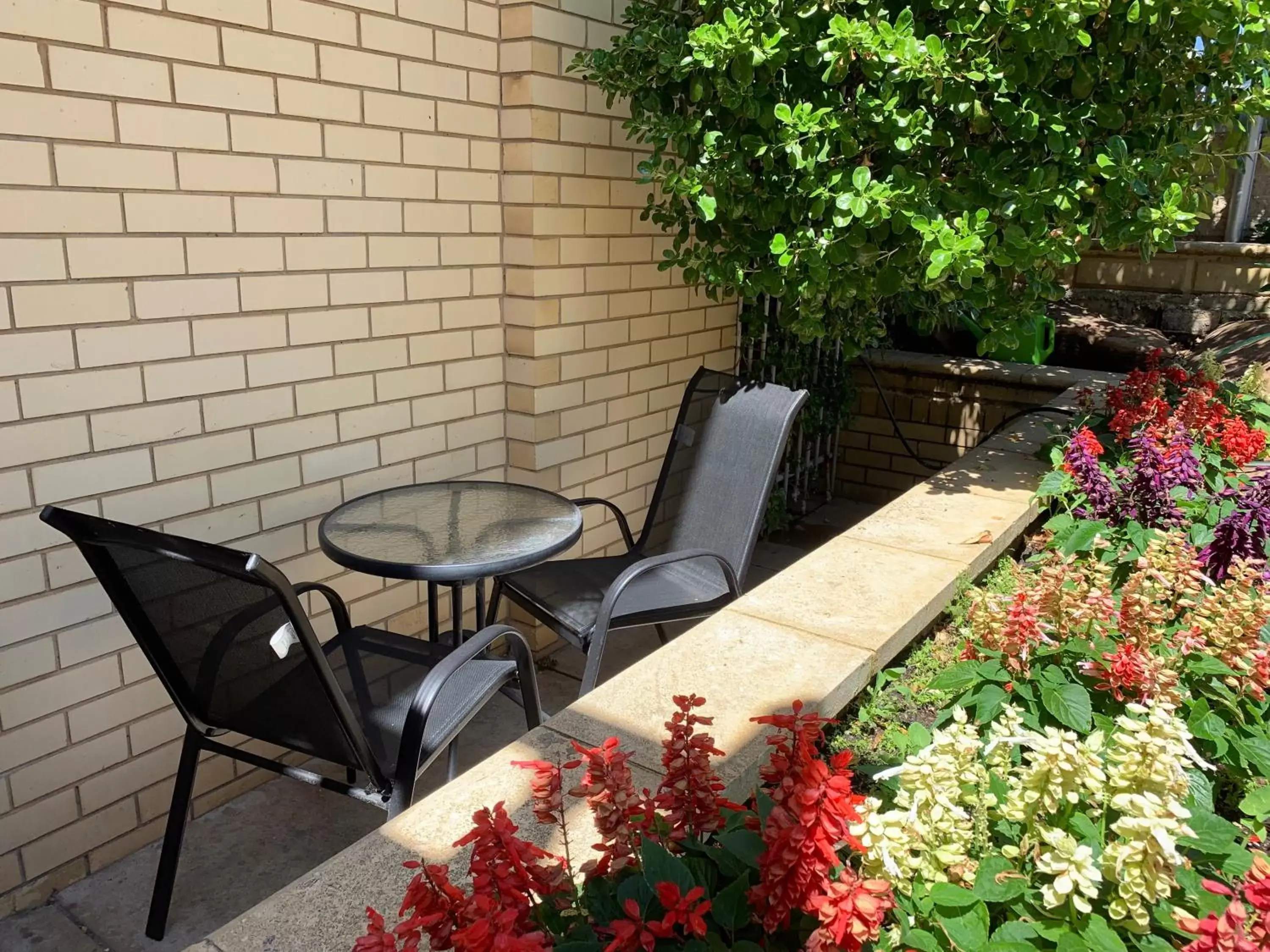 Patio in Ensenada Motor Inn and Suites