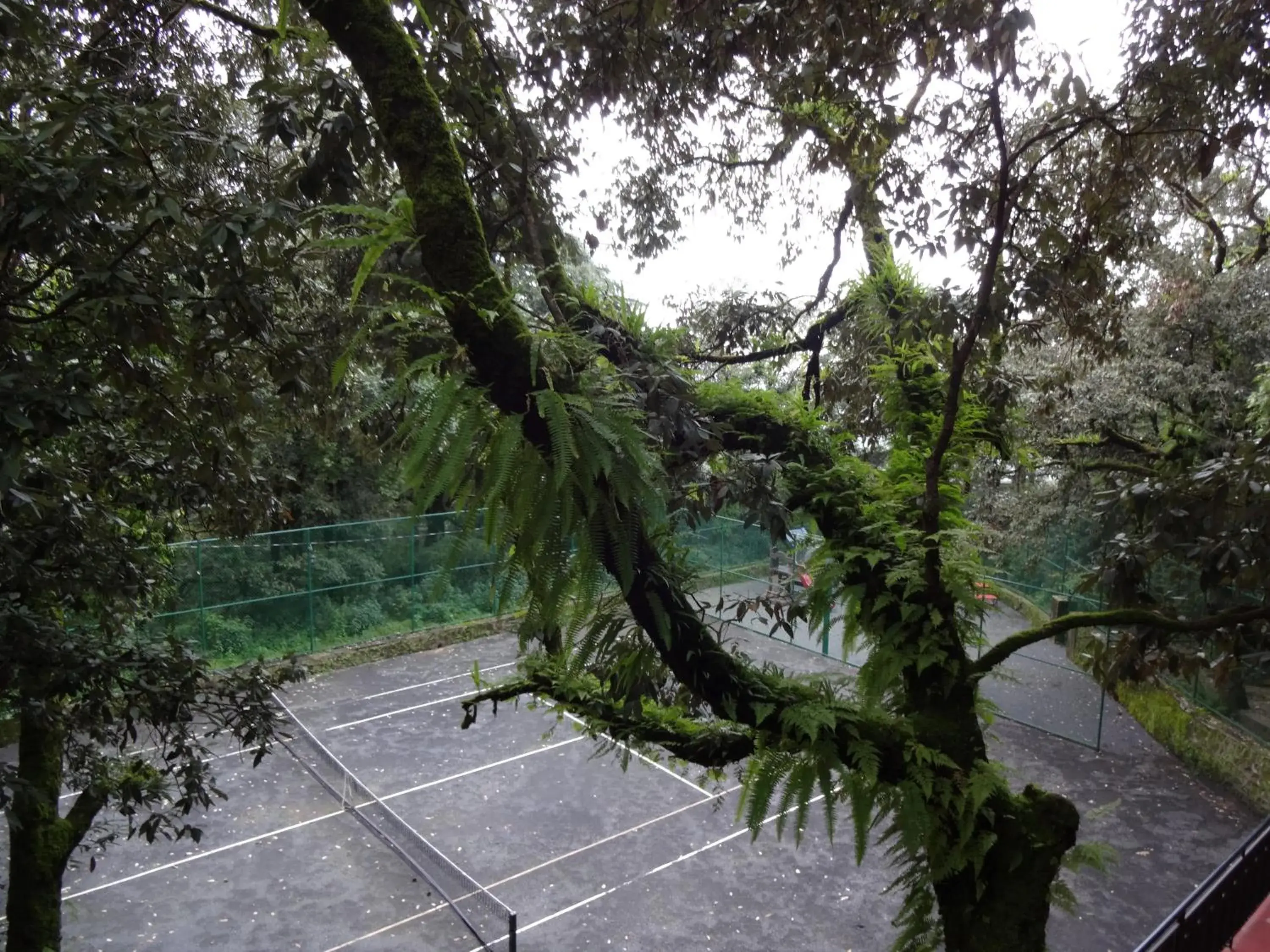 Tennis court in The Claridges Nabha Residence-Heritage