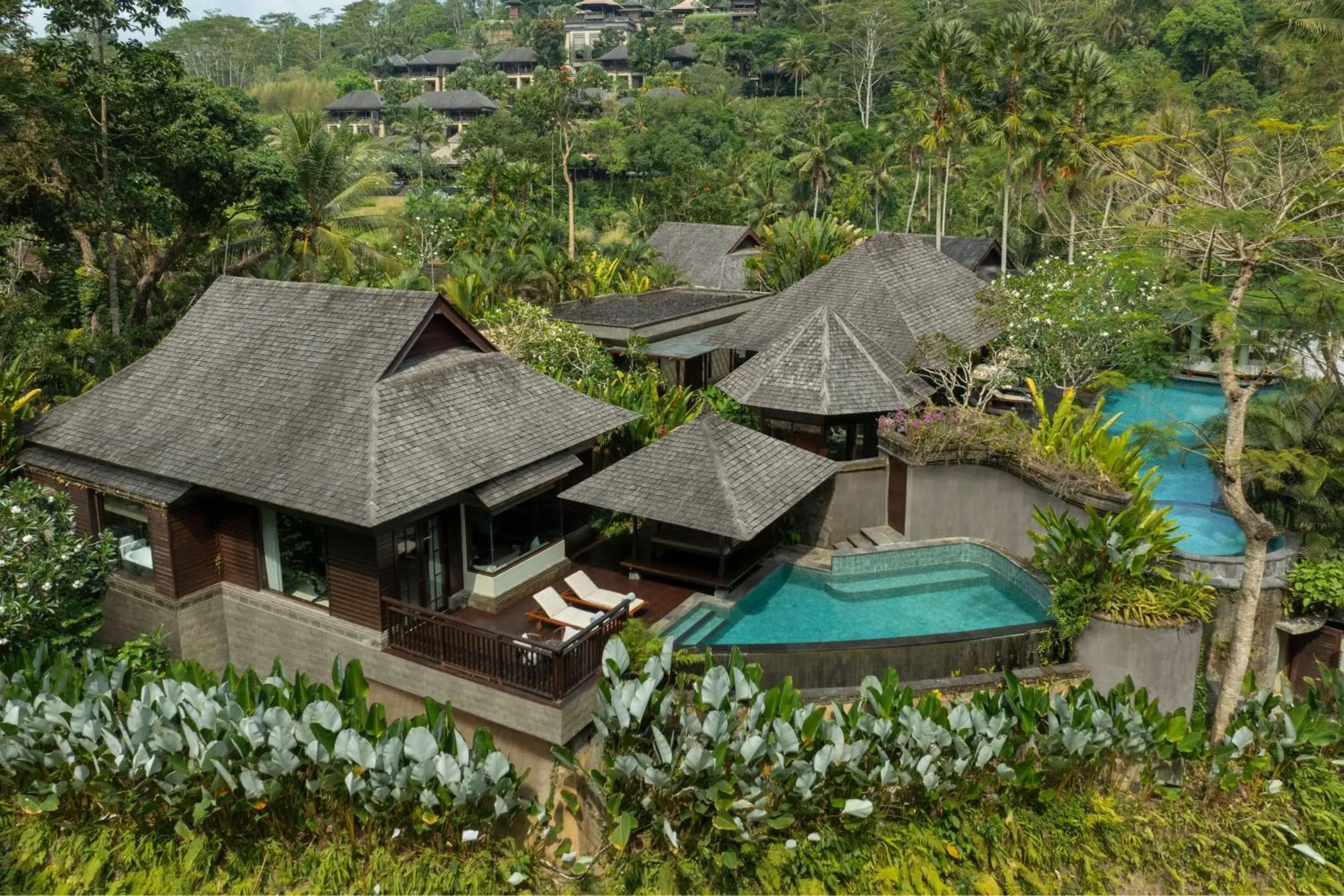 Swimming pool, Bird's-eye View in Mandapa A Ritz-Carlton Reserve