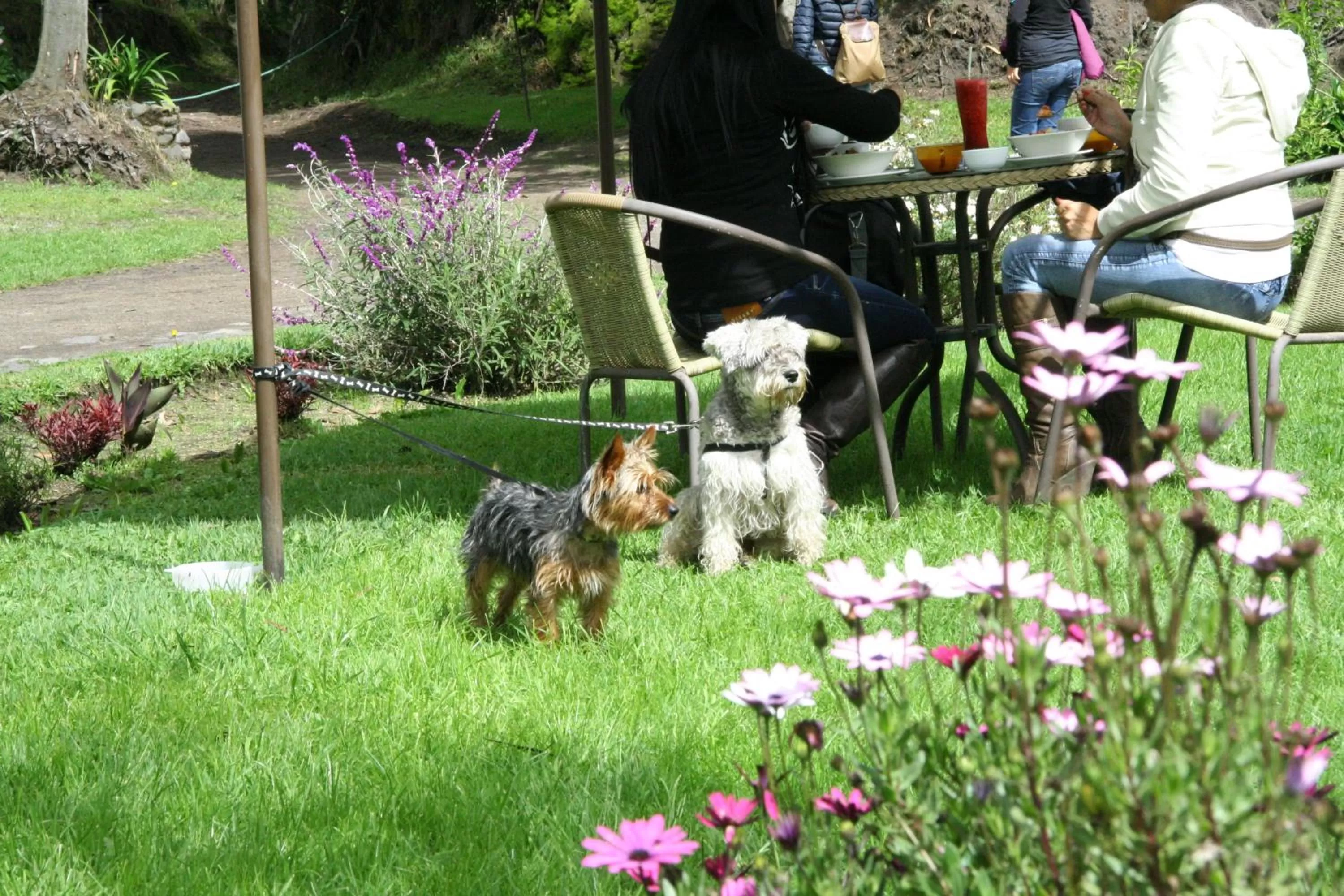Facade/entrance in Hosteria Papagayo Cotopaxi