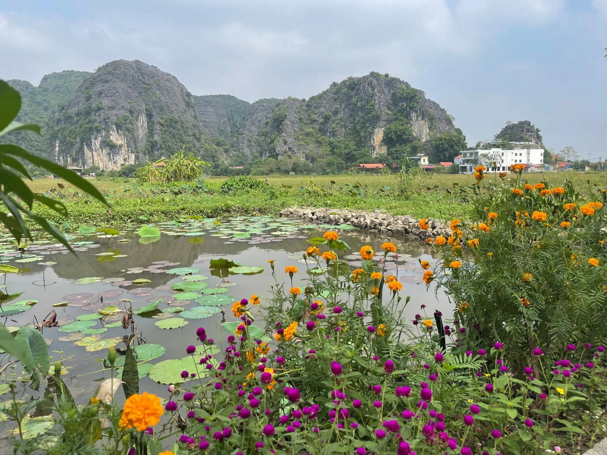 Tam Coc Mountain View Homestay