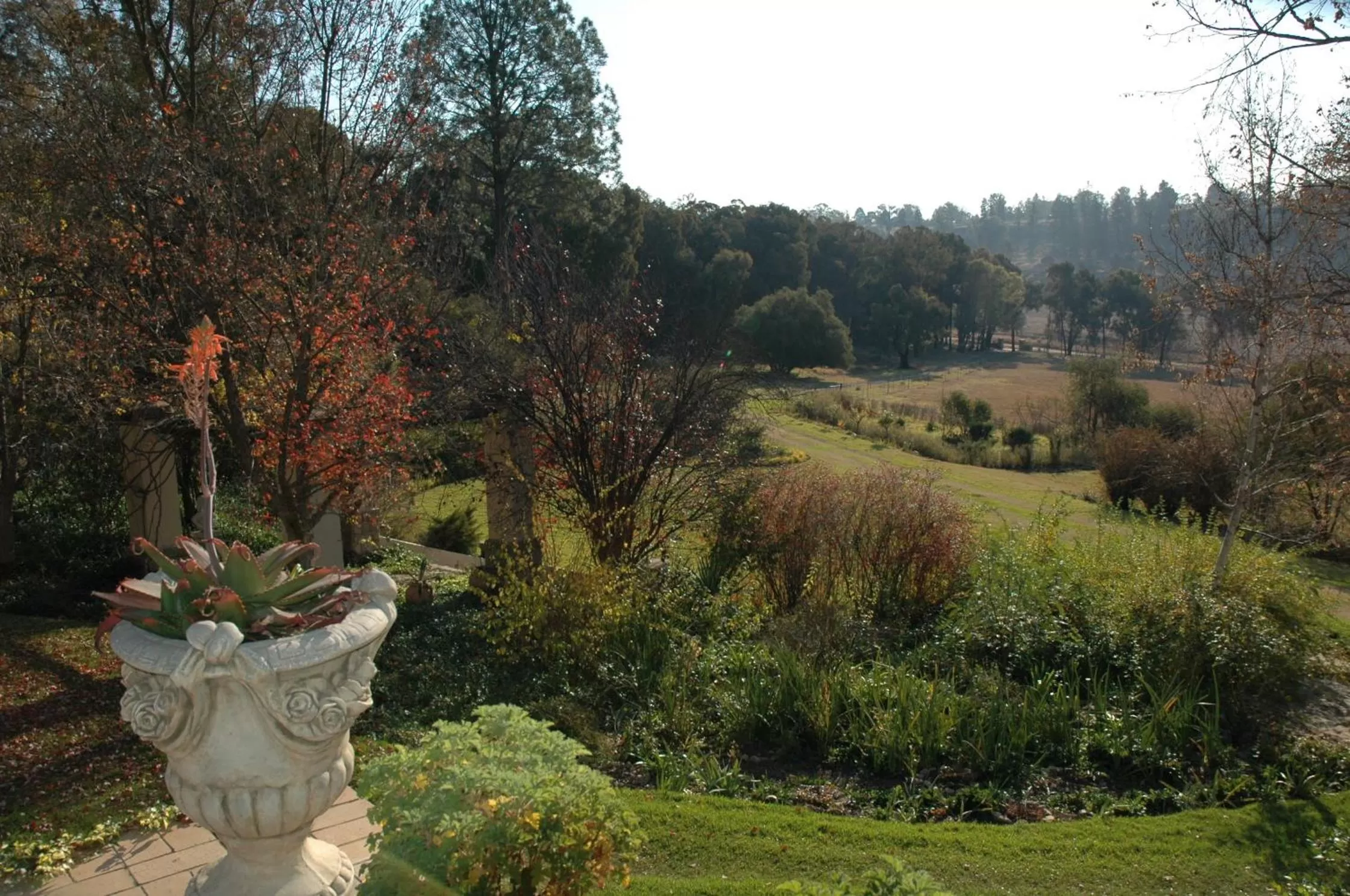 Garden view in La Motte B&B