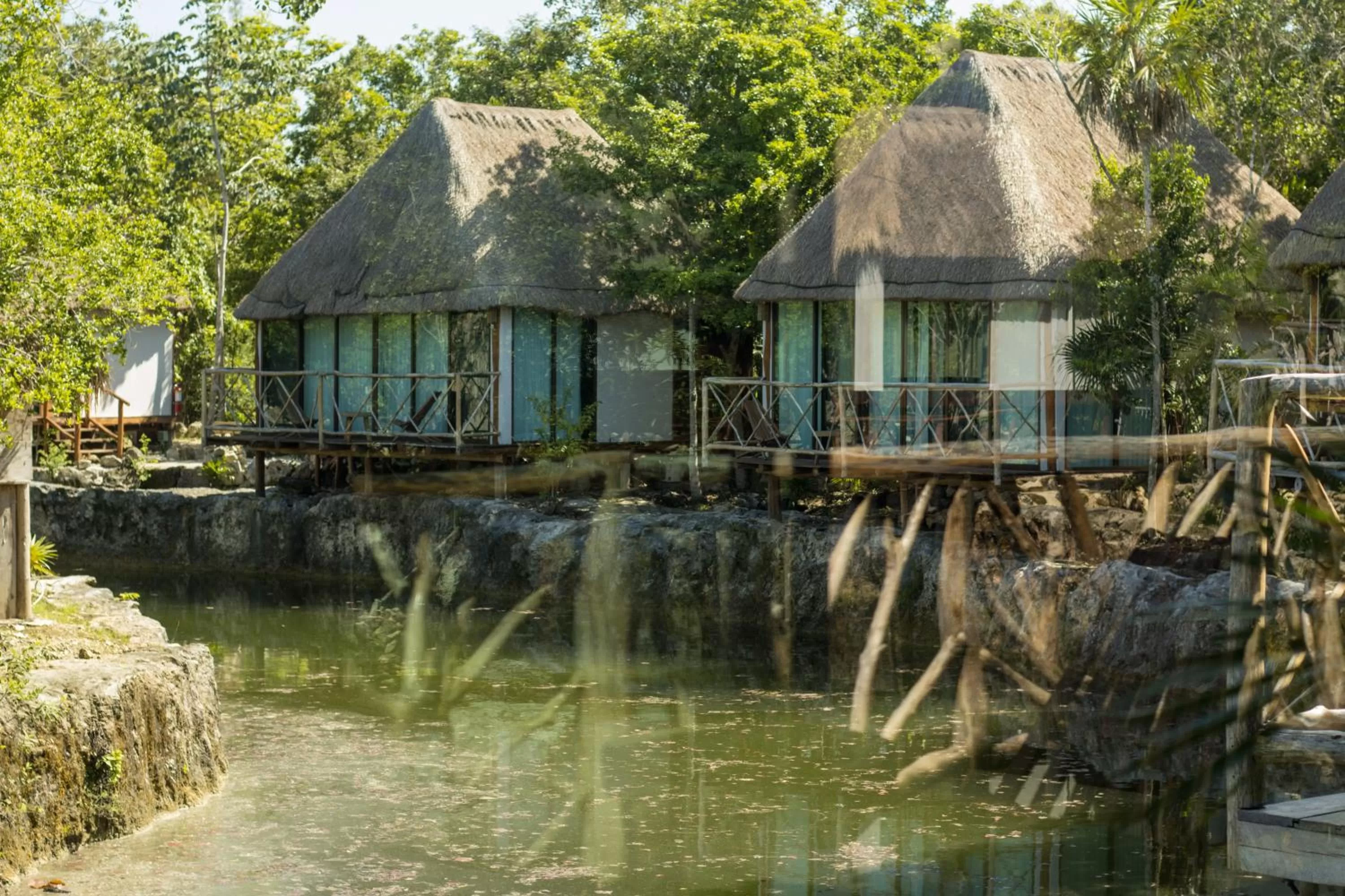 Natural landscape in Zamna eco-lodge Tulum
