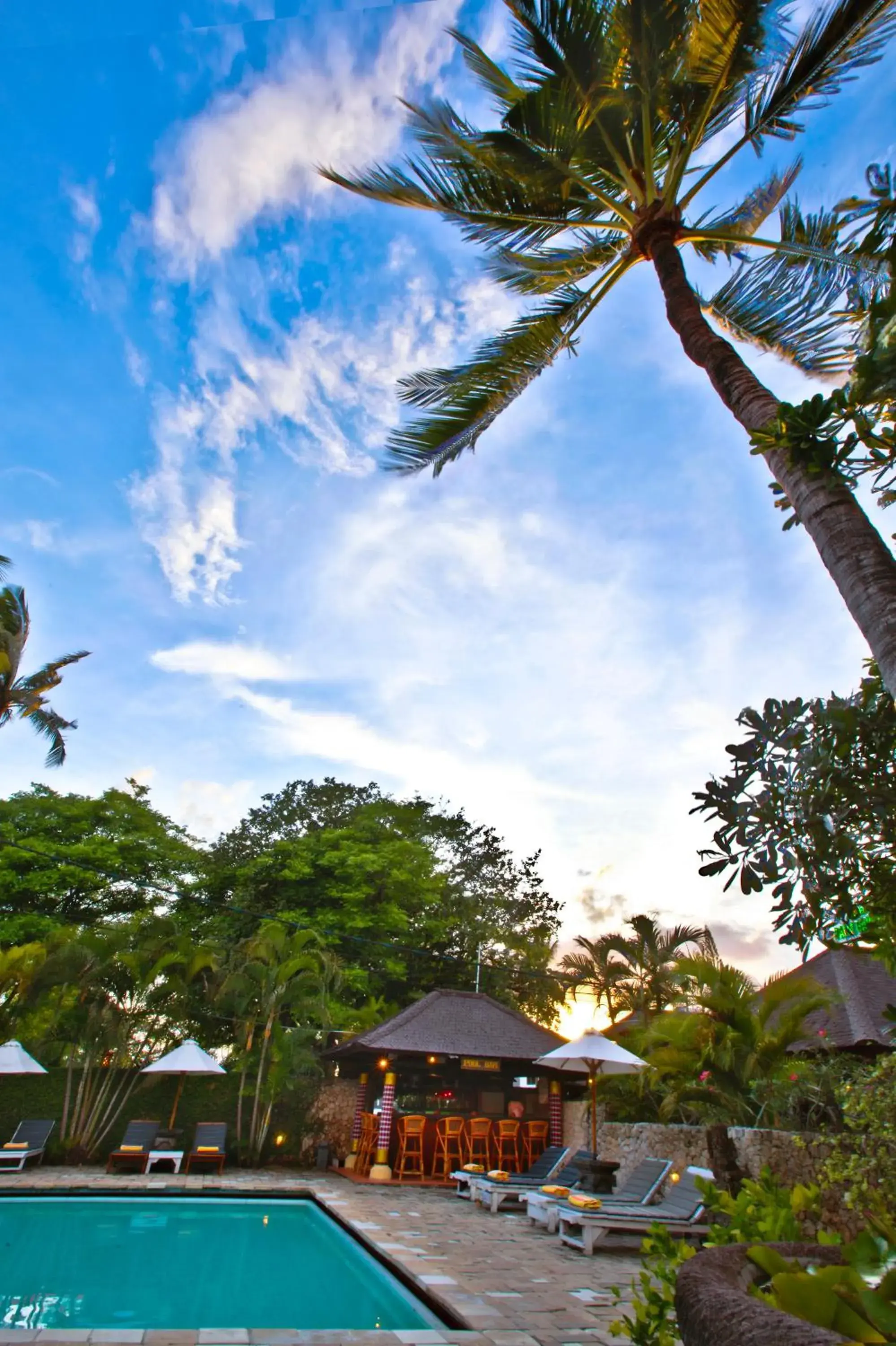 Garden, Swimming Pool in Hotel Palm Garden Bali