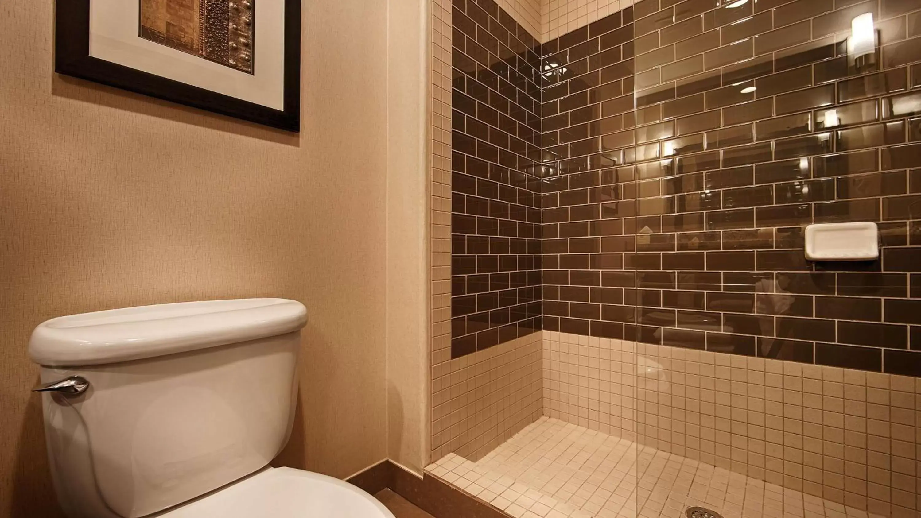 Bathroom in Best Western Plus Lackland Hotel and Suites.