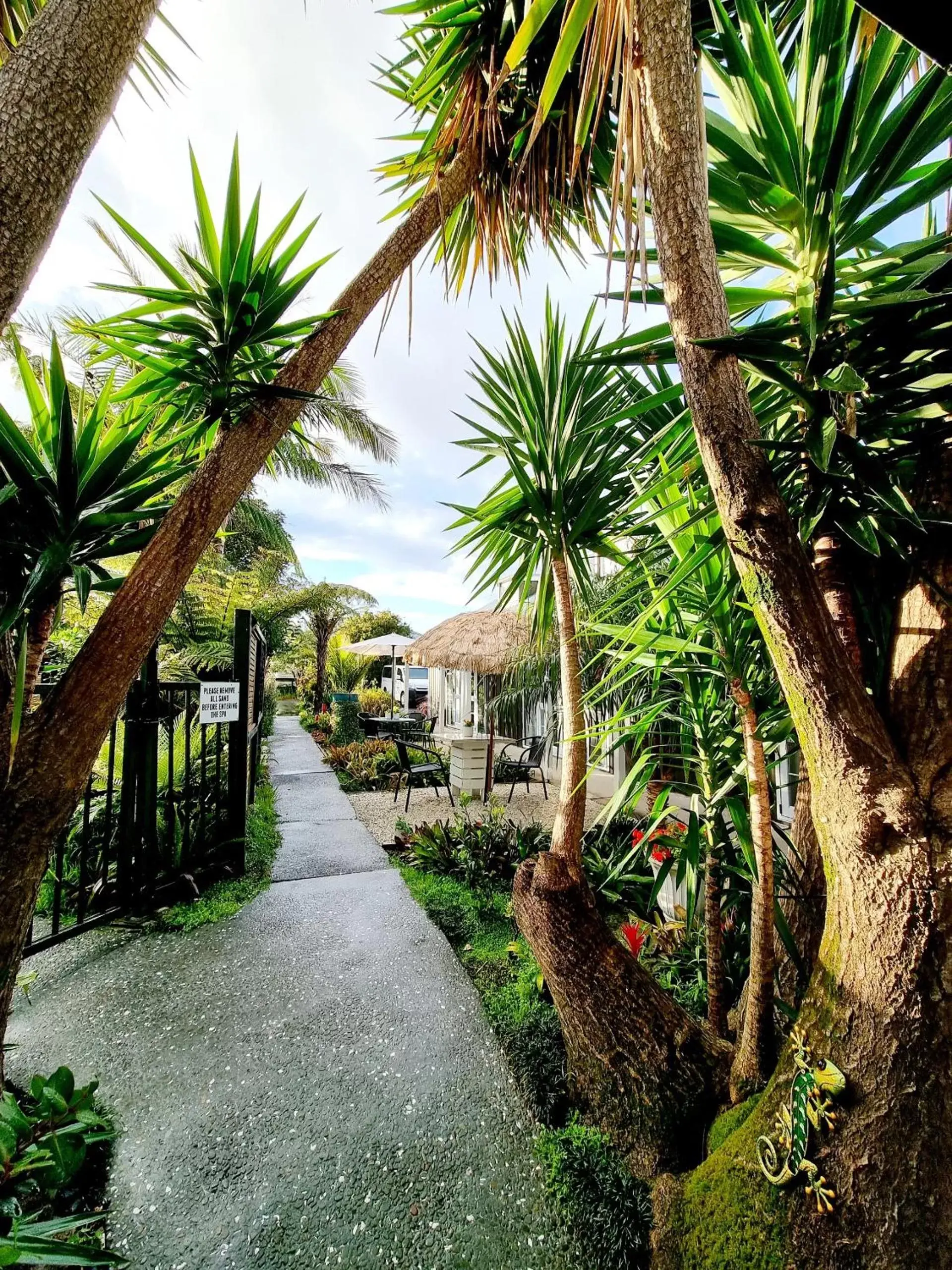 Garden in Southpacific Motel