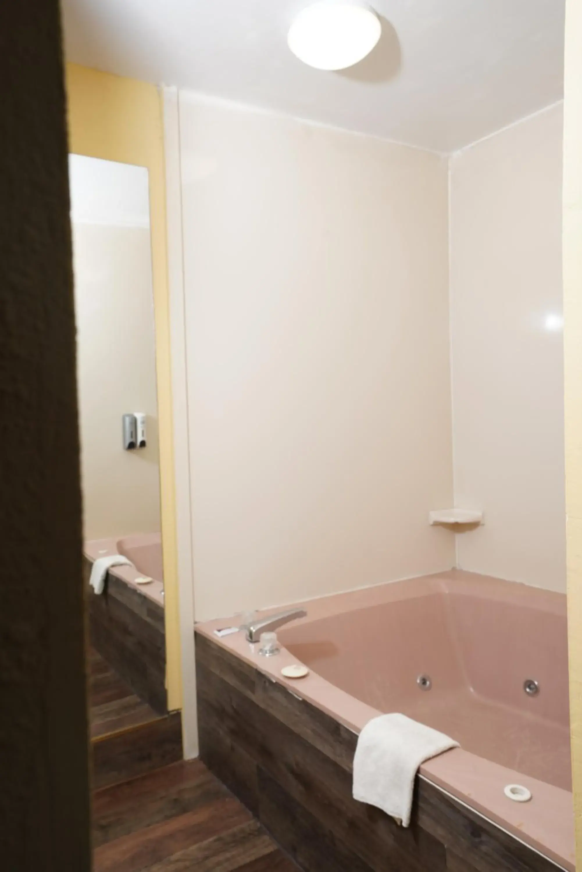 Bath, Bathroom in Red Carpet Inn and Suites Newnan GA