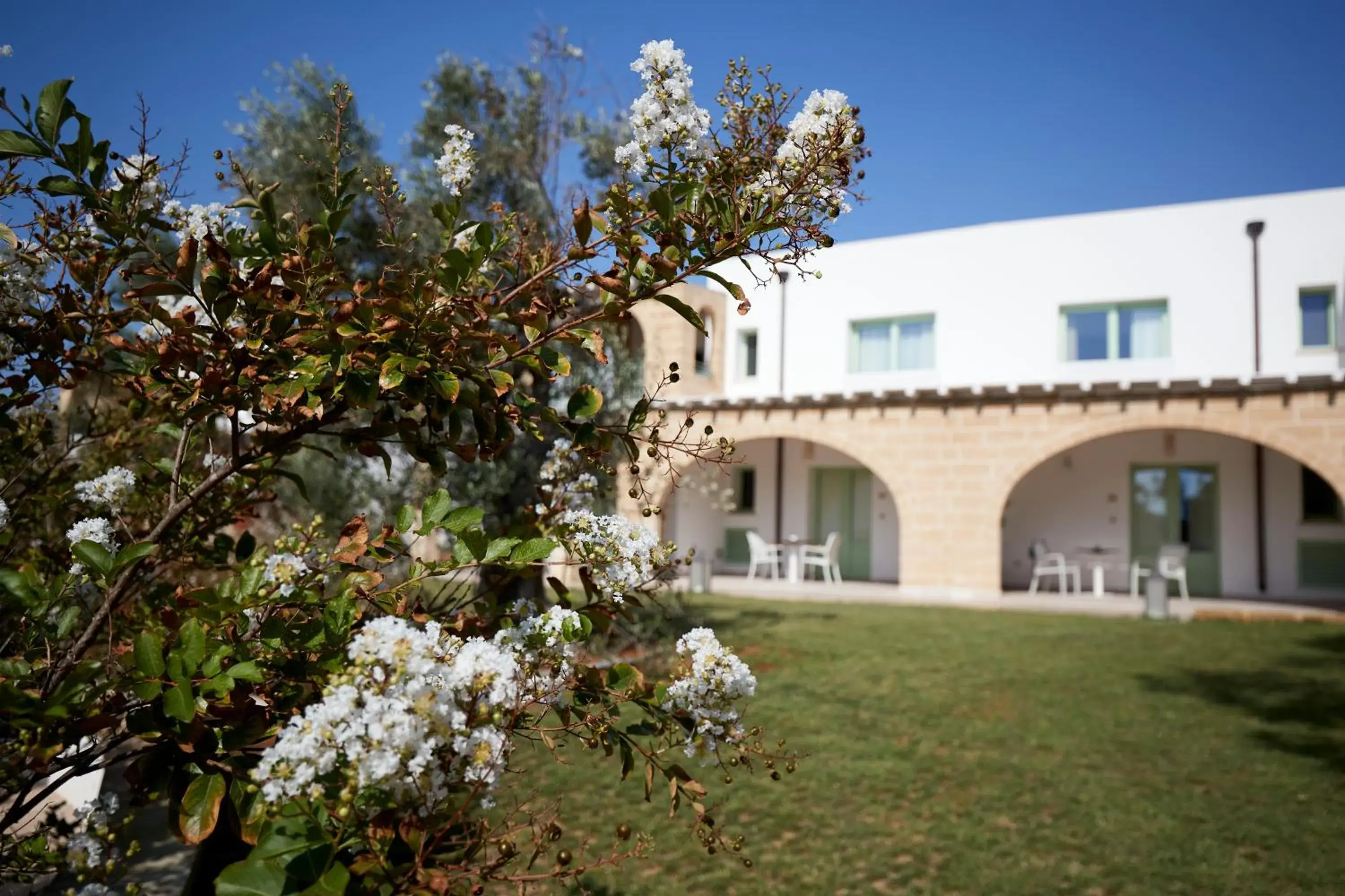 Property Building in Montiro' Hotel