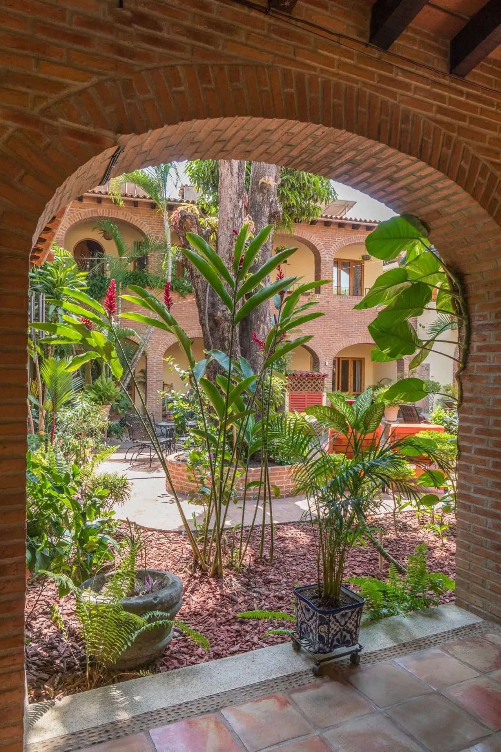 Garden in Hacienda Escondida Puerto Vallarta