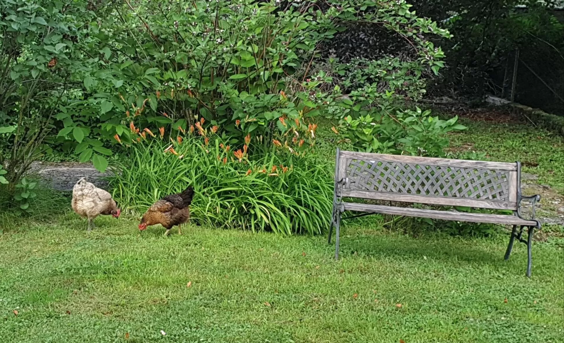 De passage chez Lili