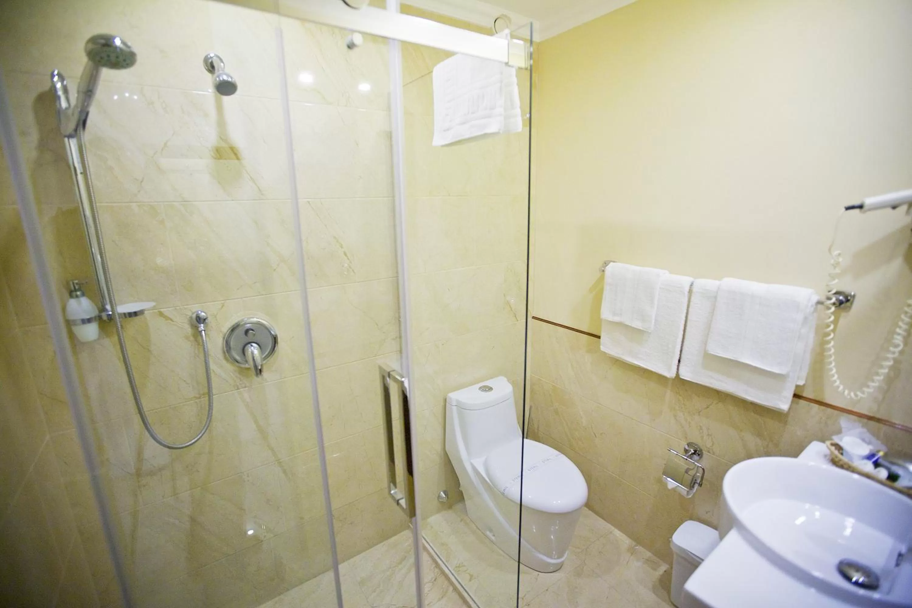 Toilet in Gold Hotel Budapest