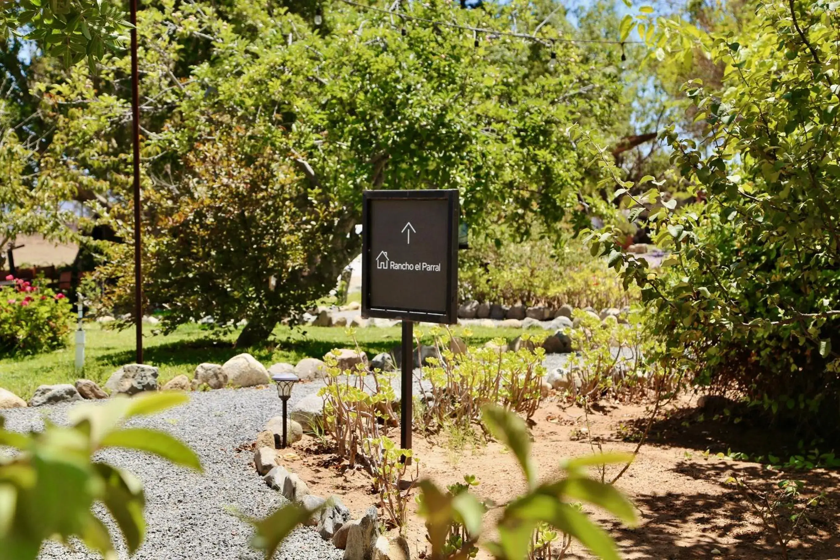 Garden in Rancho el Parral