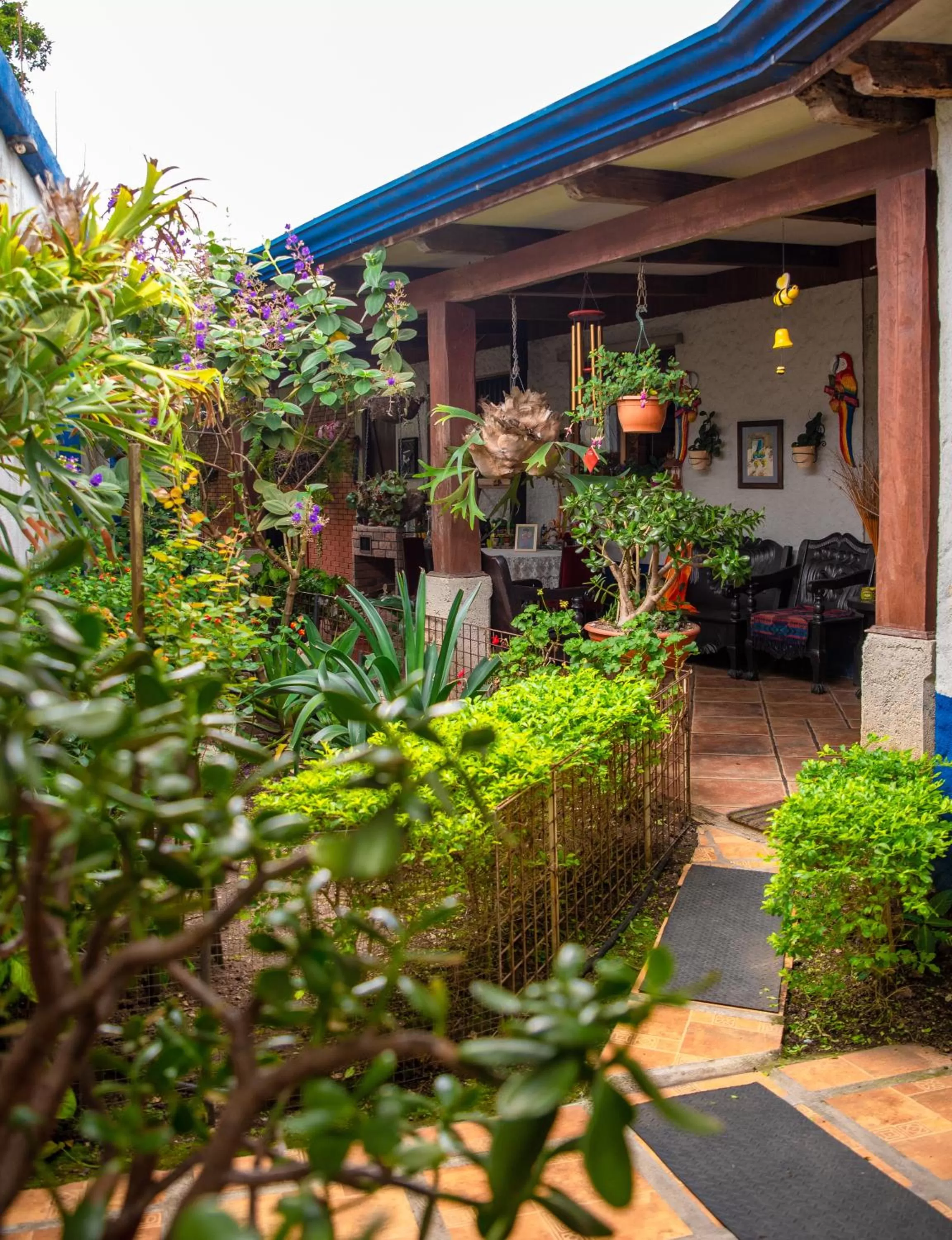 Patio in La Casa de Mamá Coyita