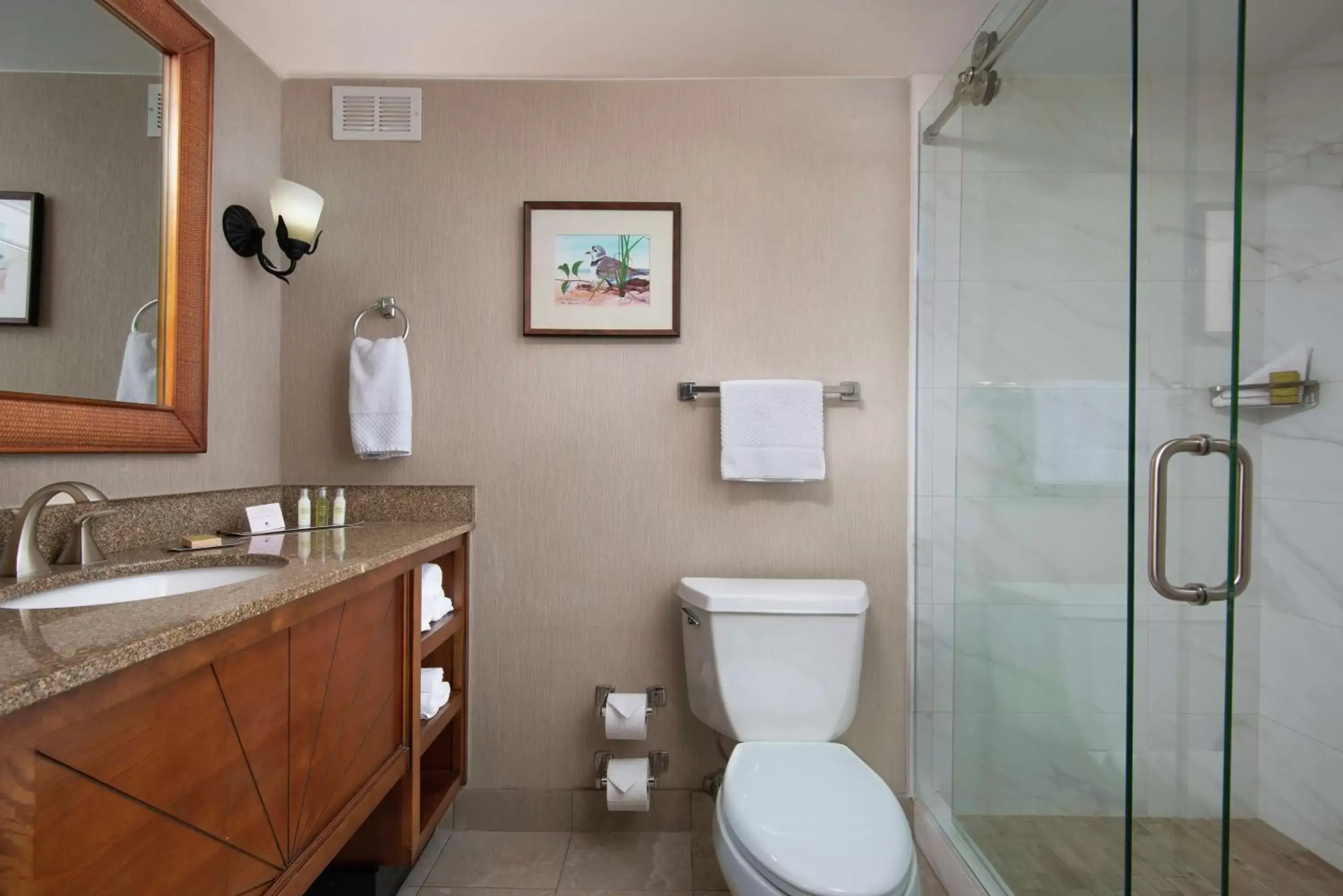 Bathroom in DoubleTree Beach Resort by Hilton Tampa Bay – North Redington Beach