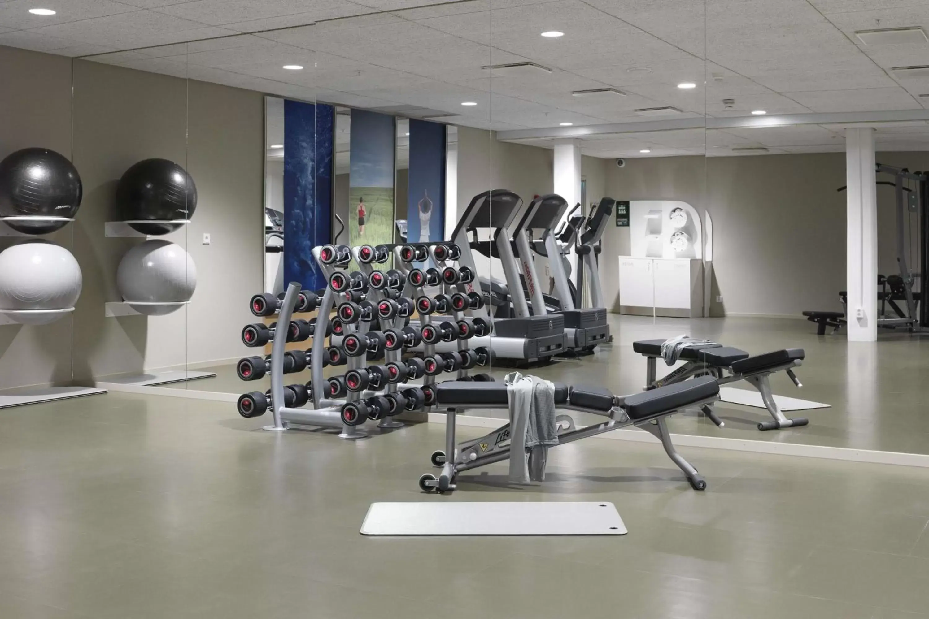 Activities, Fitness Center/Facilities in Scandic Continental