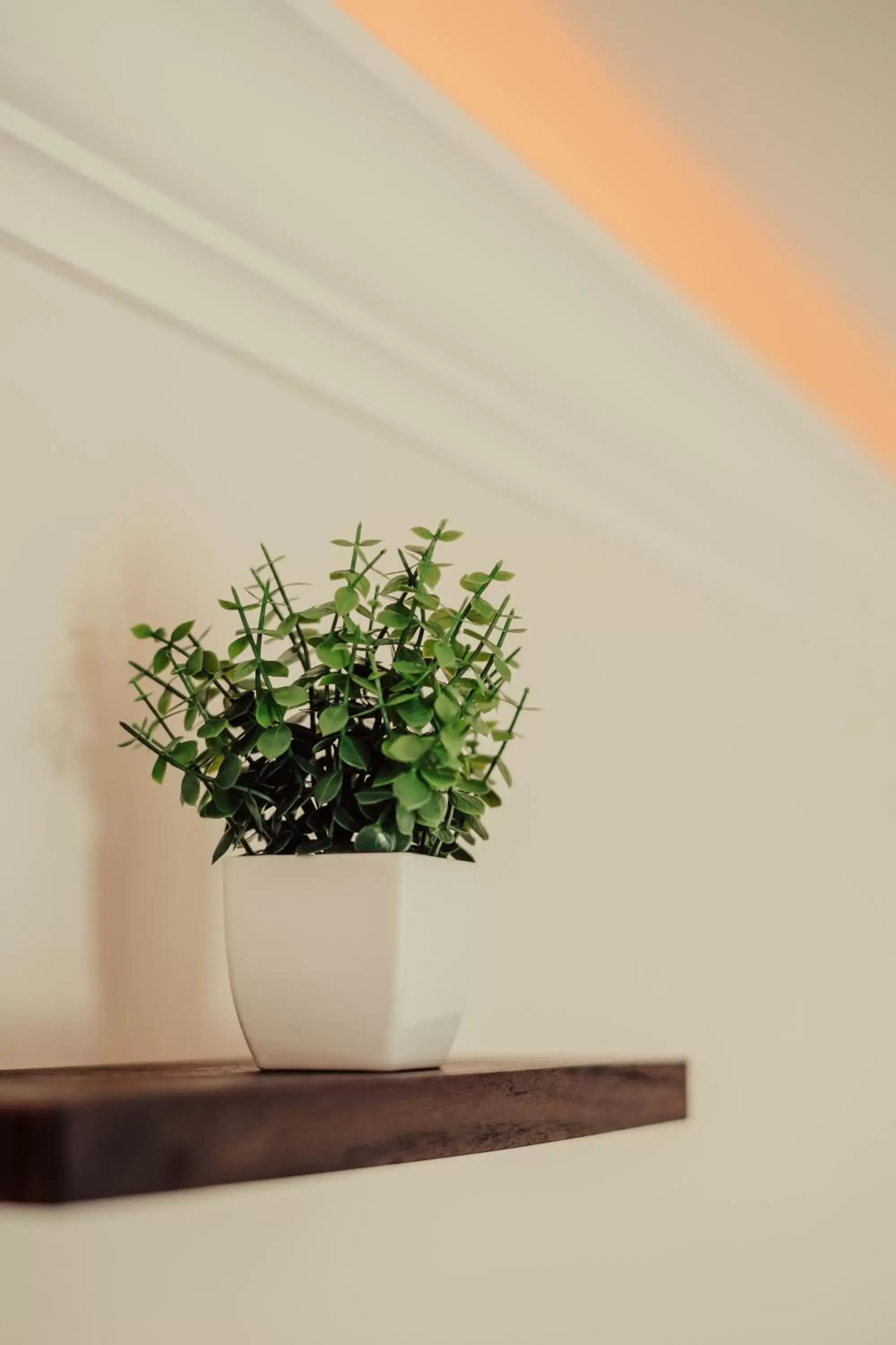 Decorative detail in Blufftop Inn & Suites - Wharf/Restaurant District Decorative detail in Blufftop Inn & Suites - Wharf/Restaurant District