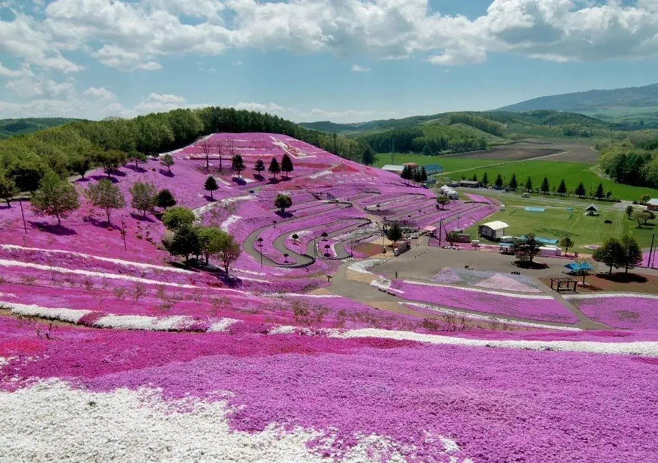 Natural landscape in Hotel Sun