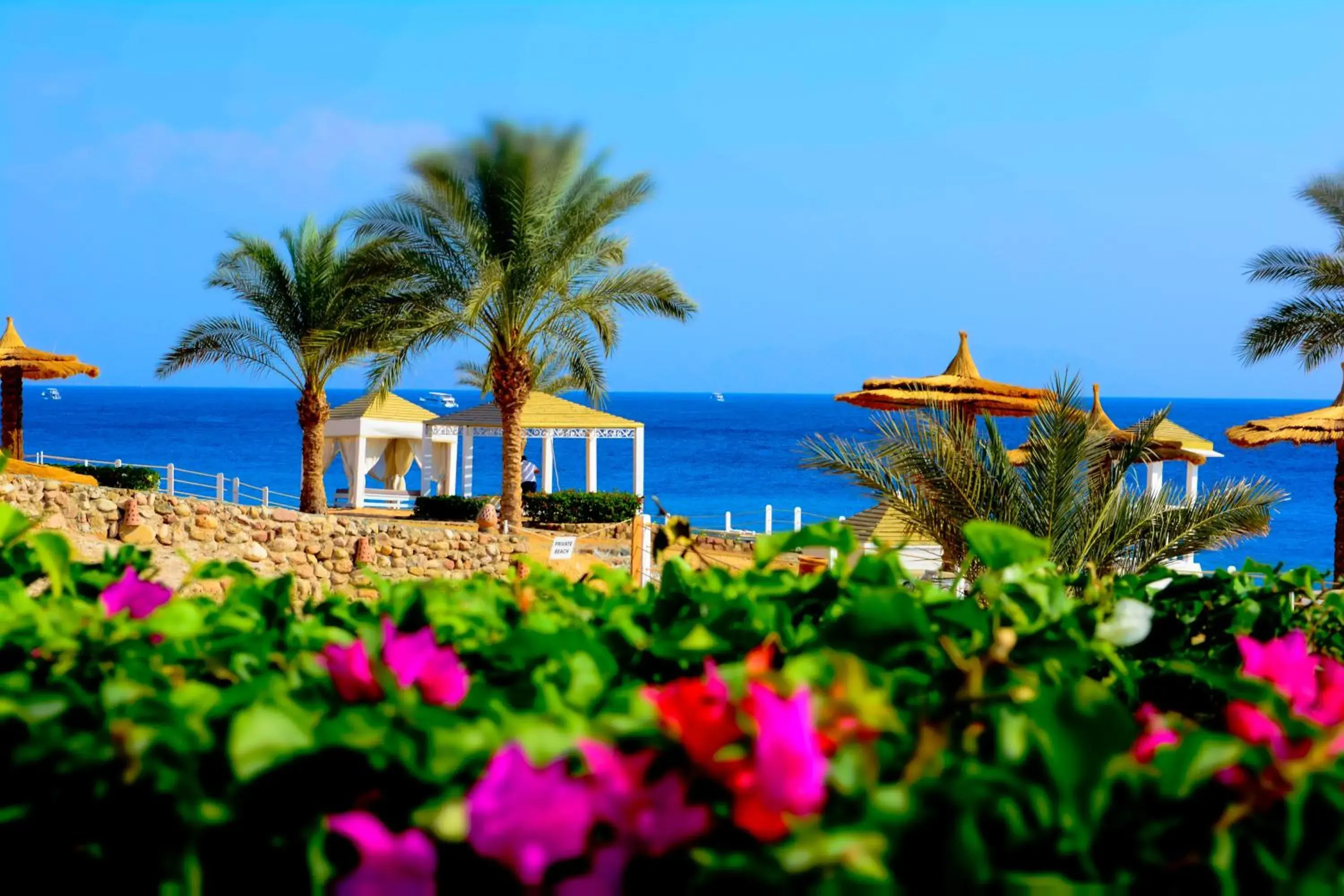 Beach in Royal Monte Carlo Sharm Villas & Suites