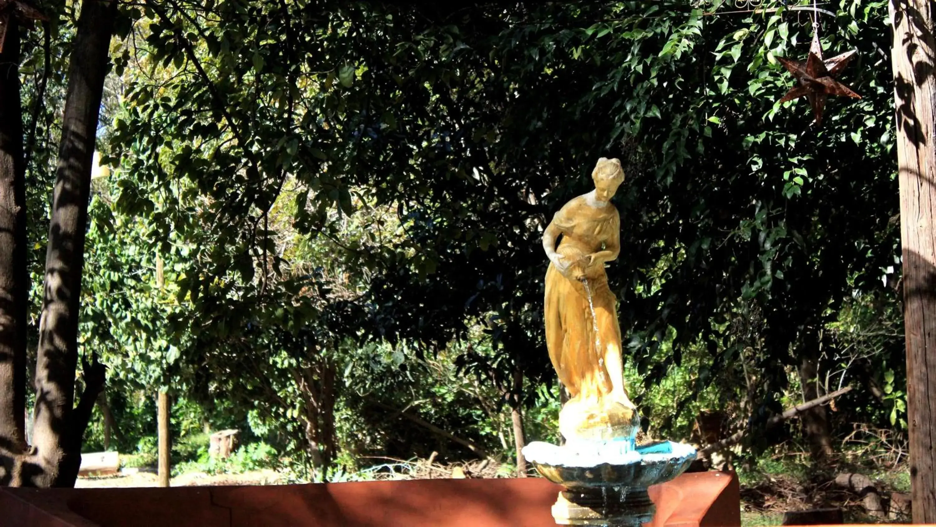 Garden in El Marques Hacienda