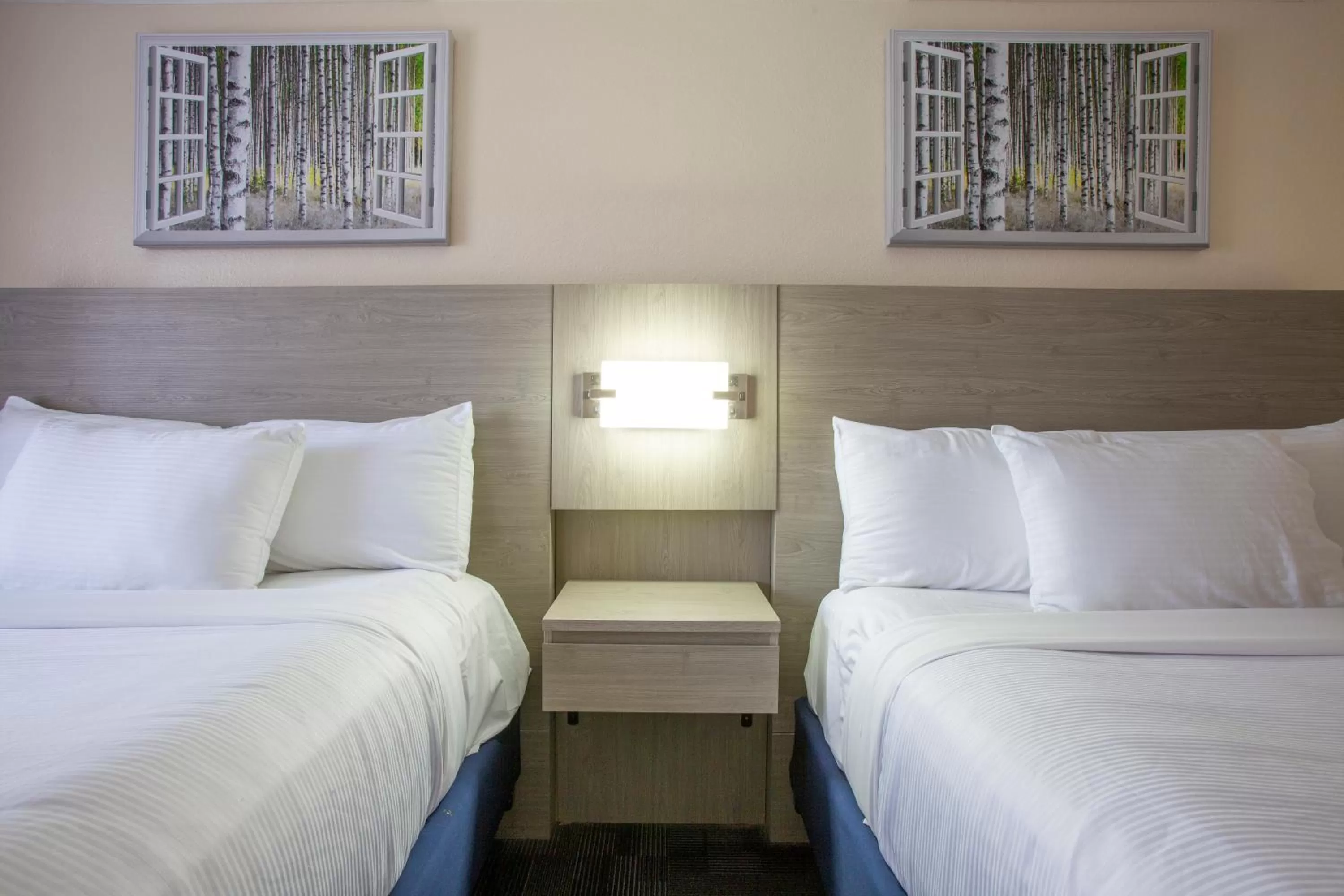 Bed in Hotel Aspen Flagstaff/ Grand Canyon InnSuites