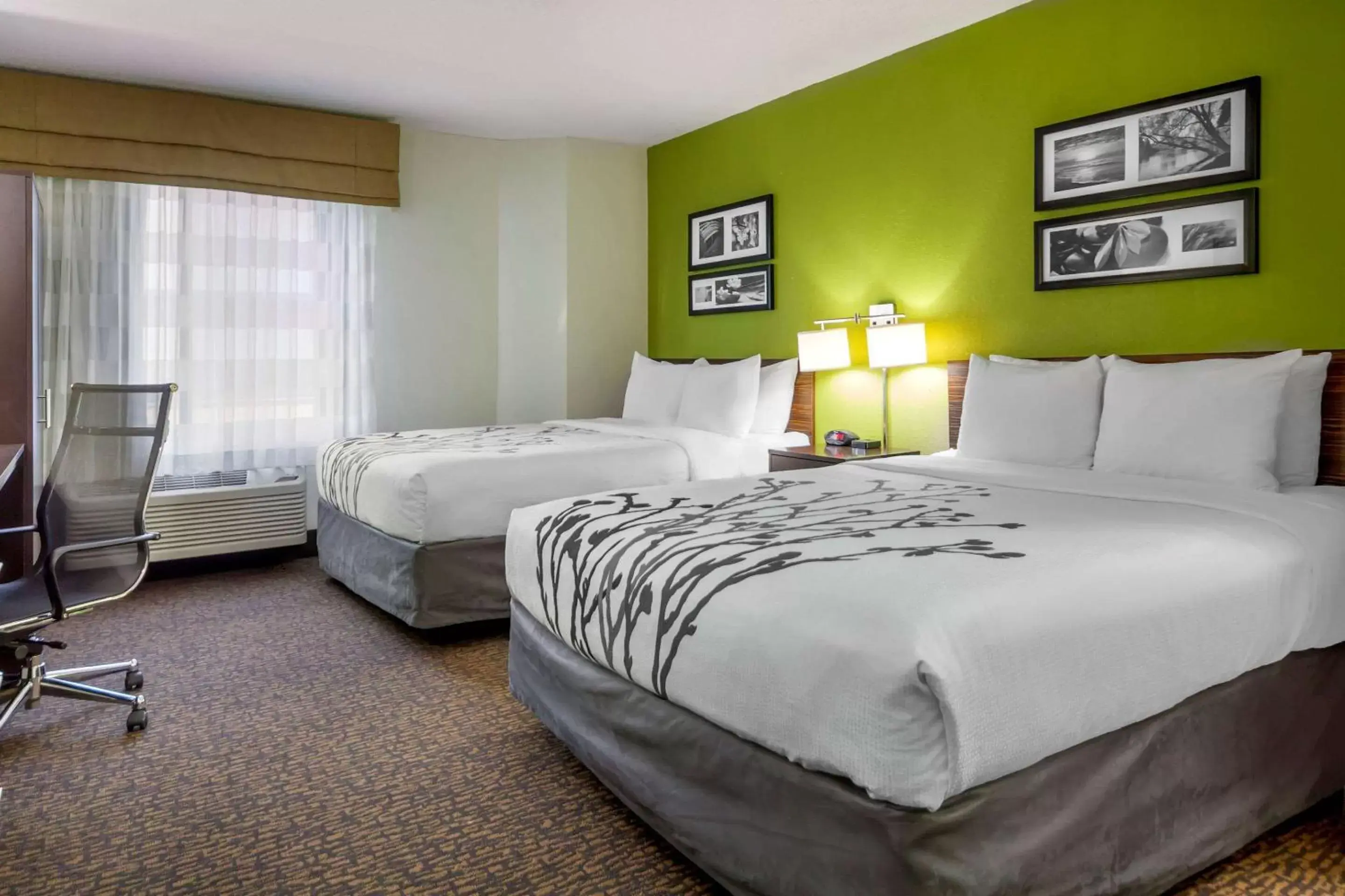 Photo of the whole room in Sleep Inn By Choice Hotels