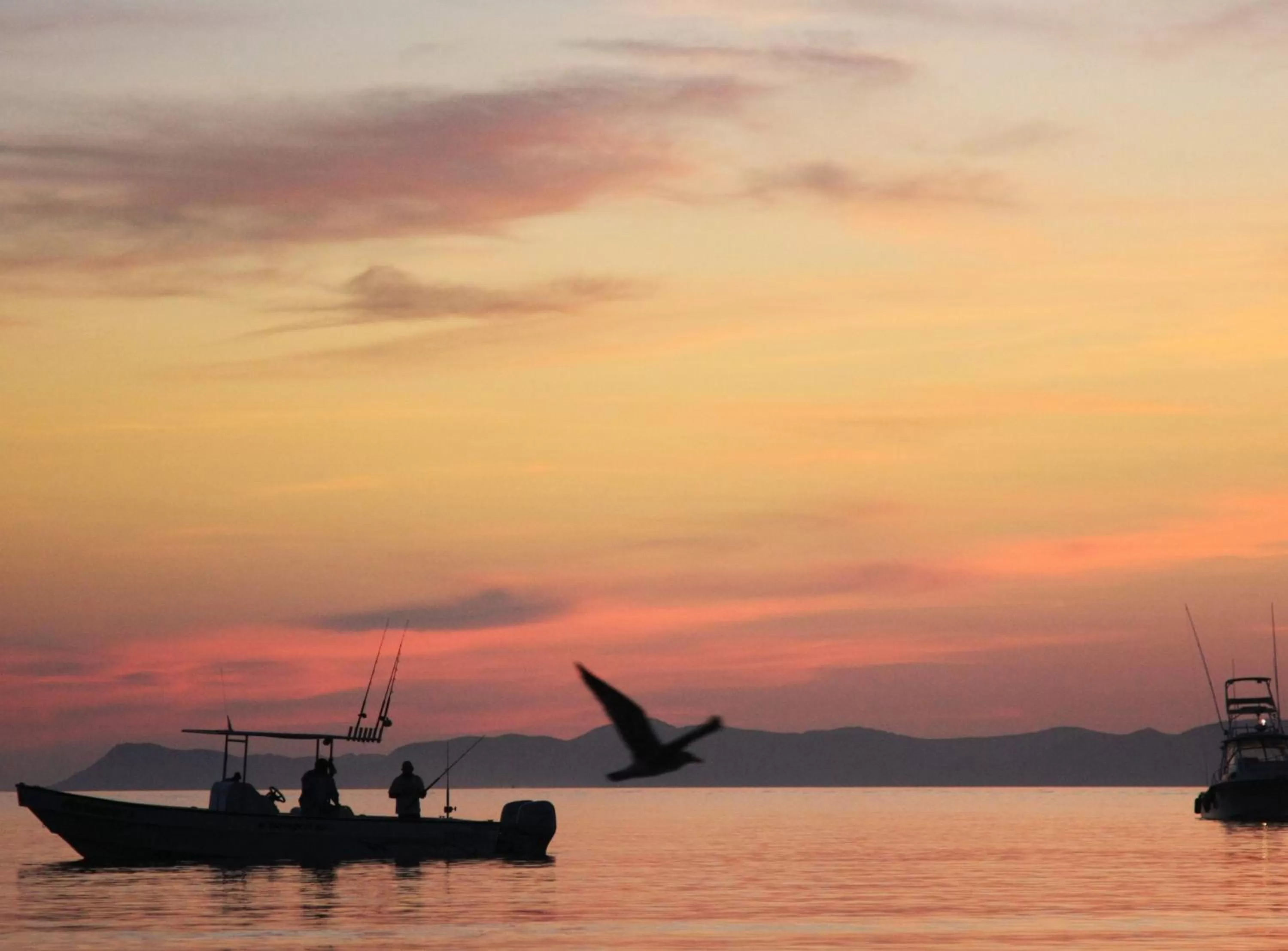 Fishing in Loreto Bay Golf & Sea at Baja