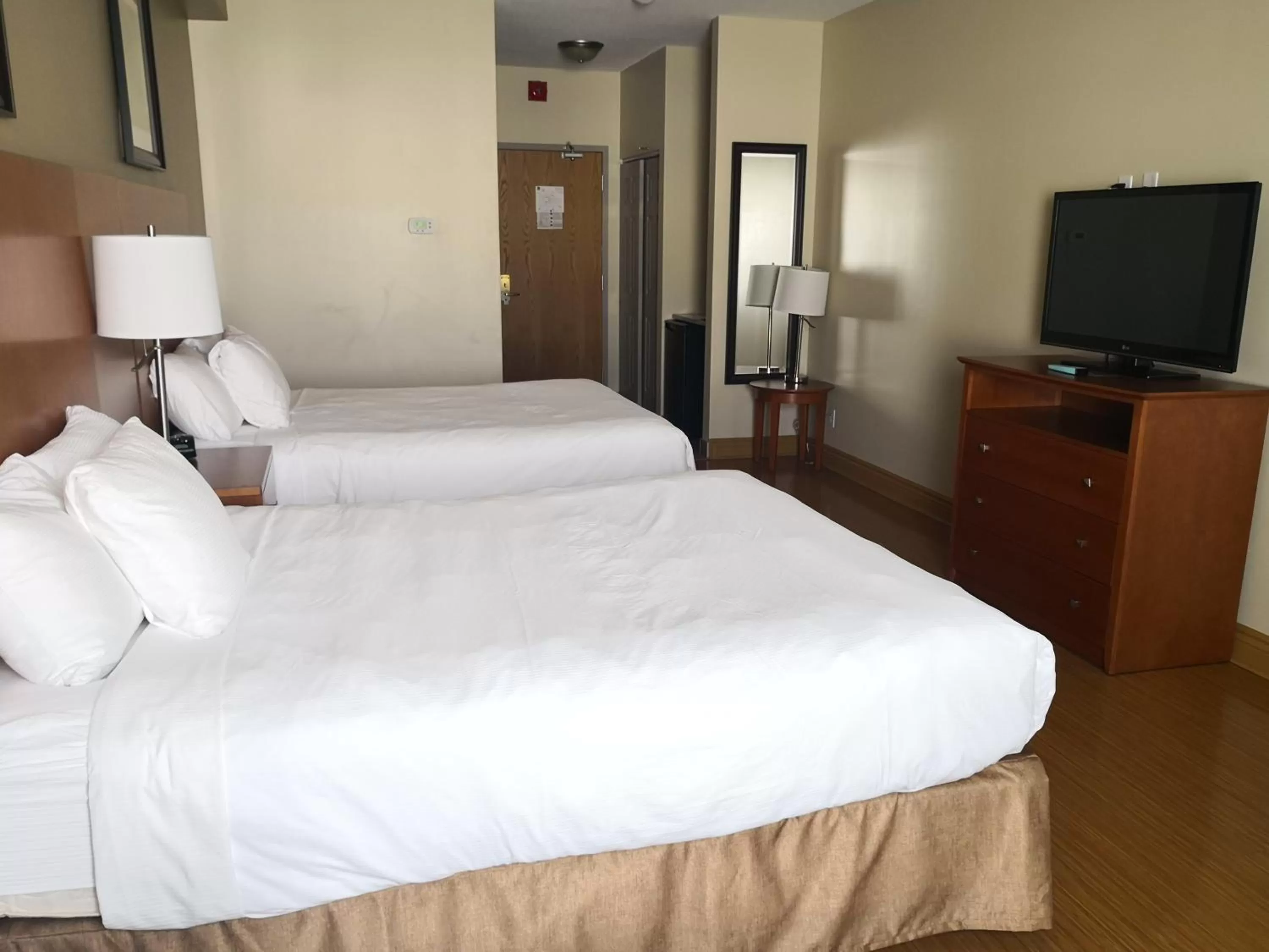 Photo of the whole room, Bed in Quality Inn & Suites
