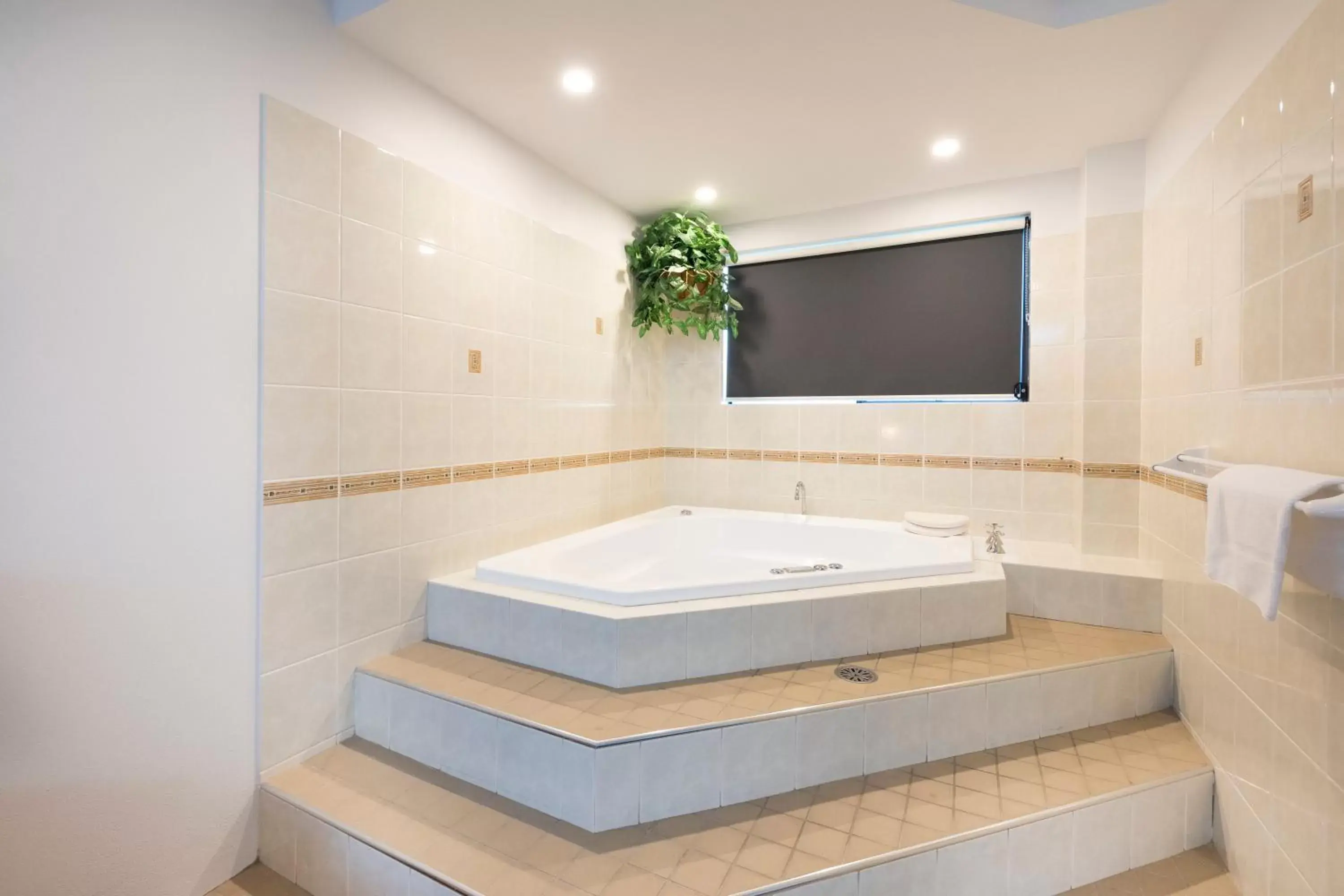 Hot Tub, Bathroom in Hotel Forster