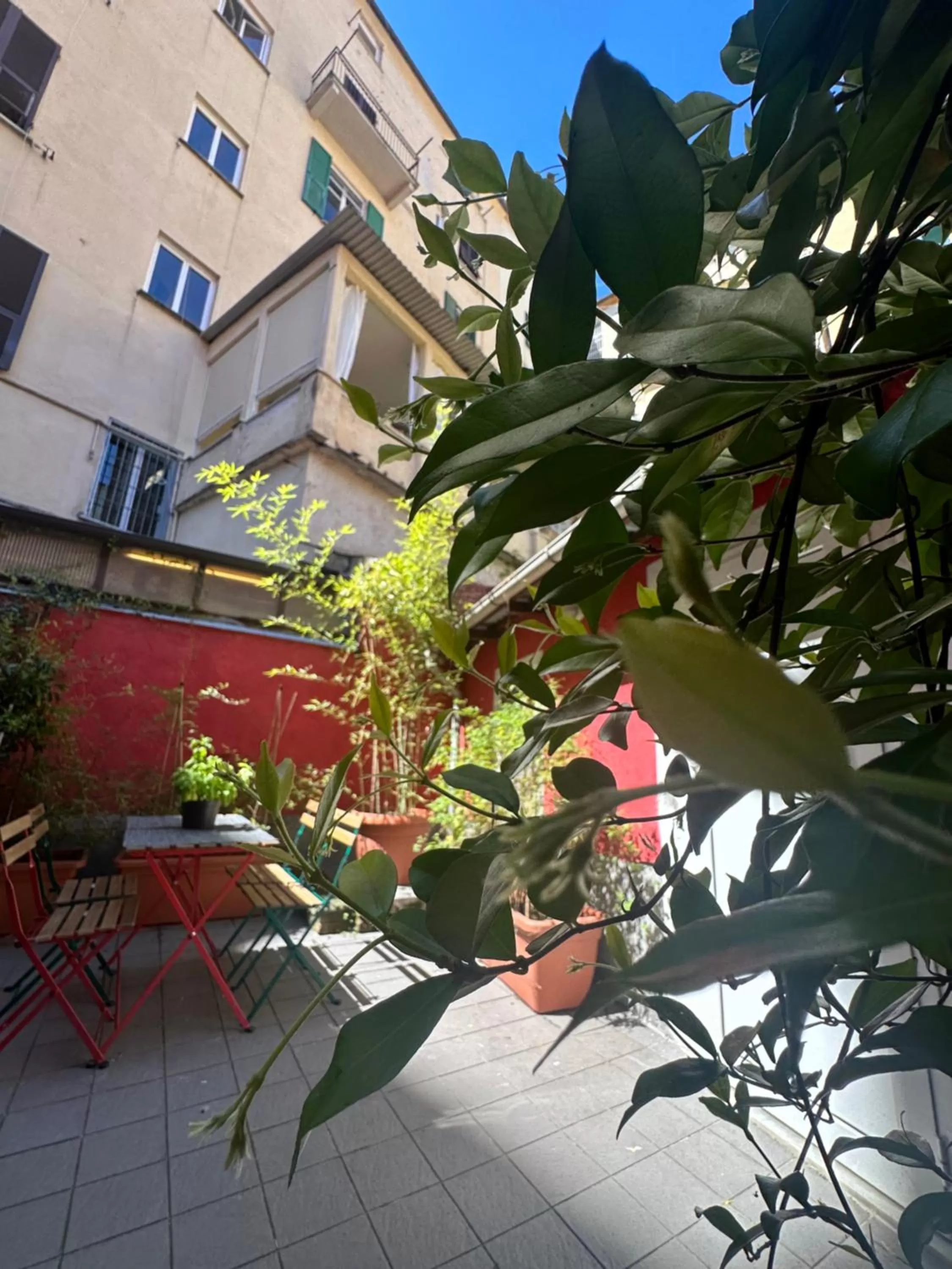 Garden view in Boutique Hotel Novecento