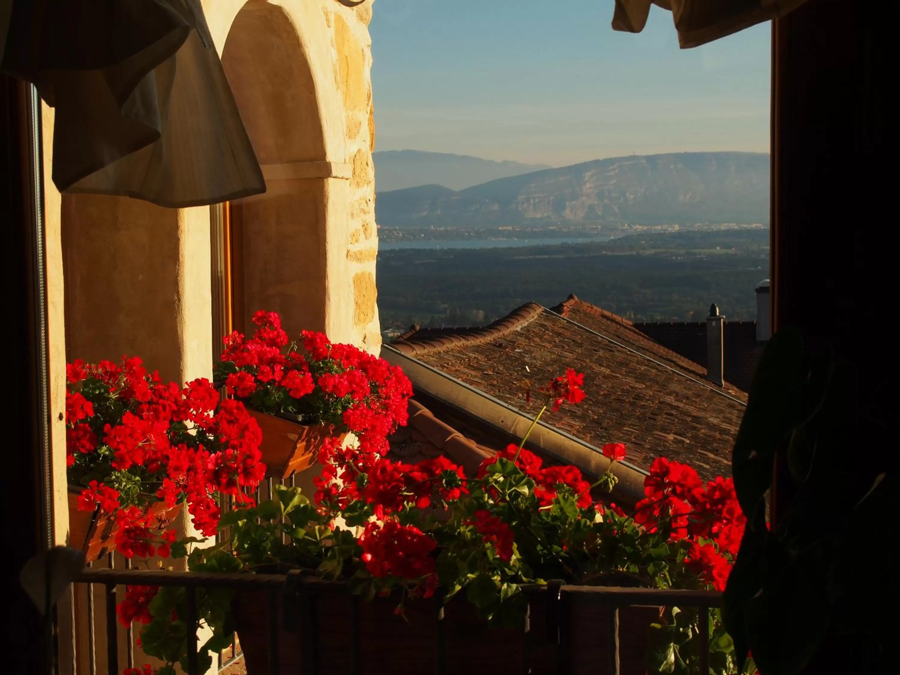 Mountain View in Les Lumières de Genève